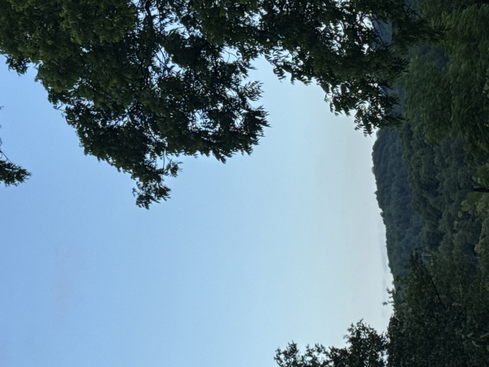 Forested hillsides and open terrain in Akydra, Abkhazia