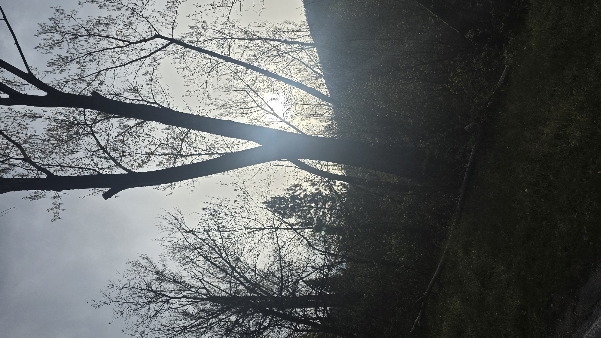 Morning nature walk documented across Blagoevgrad parks and landscapes