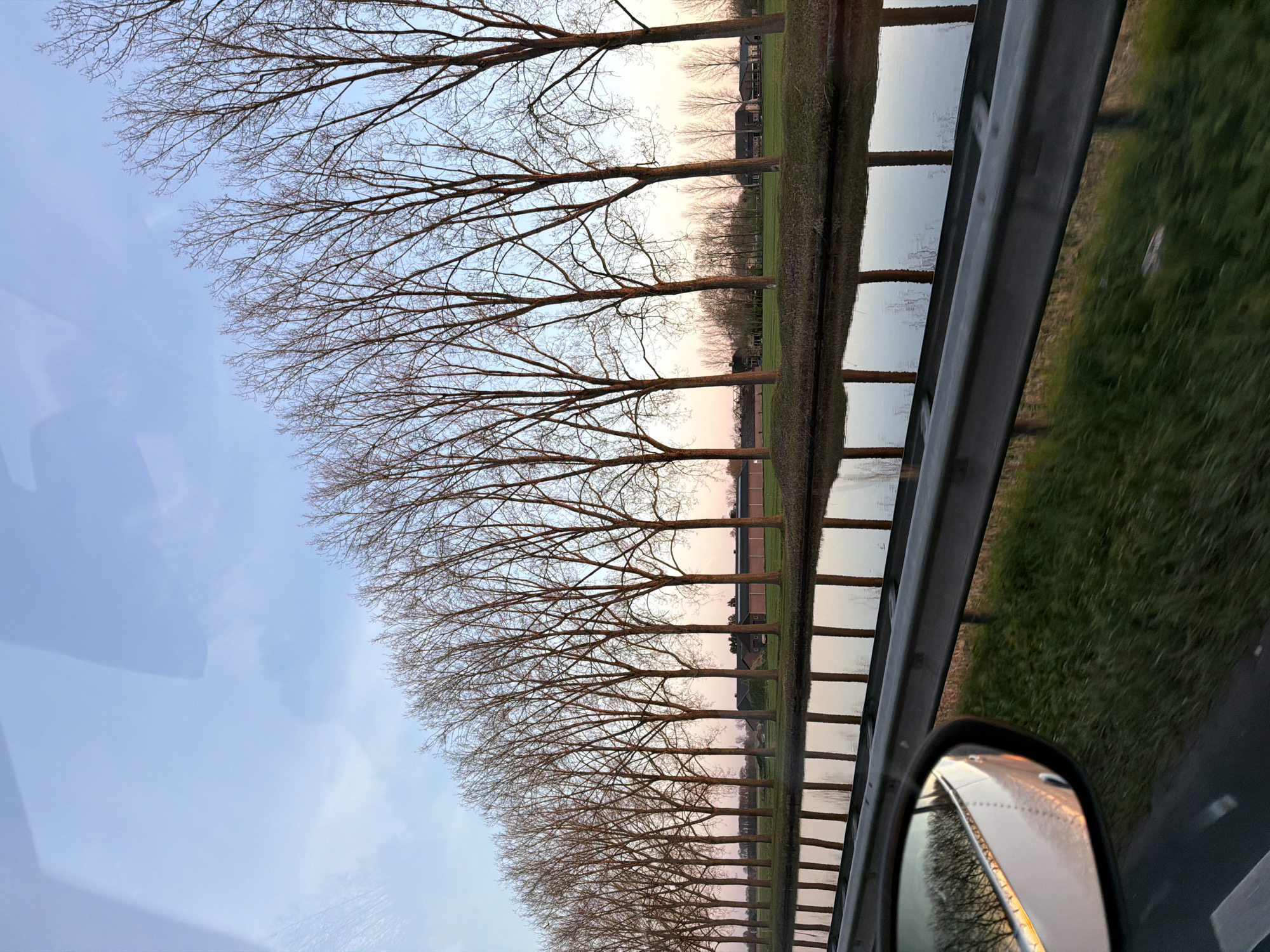 Spring evening drive captures bare trees, flying birds in Veghel