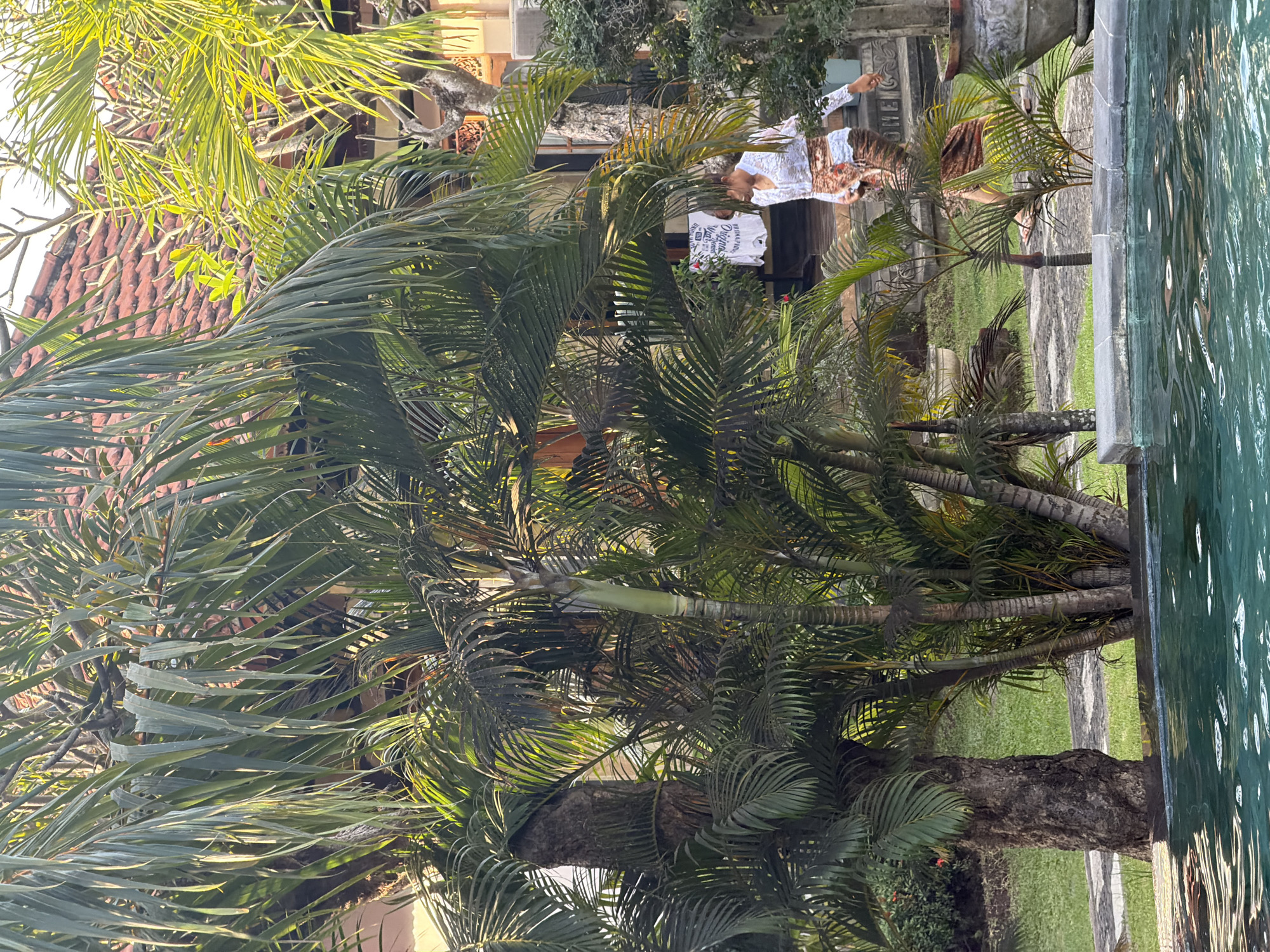 Poolside morning at a lush Balinese resort in Buleleng
