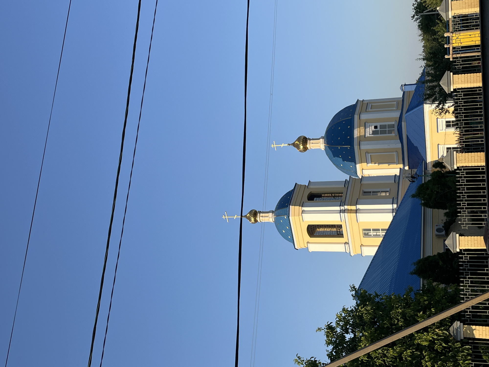 Summer garden day in Kotovo, Russia — flowers, vines, and a dog