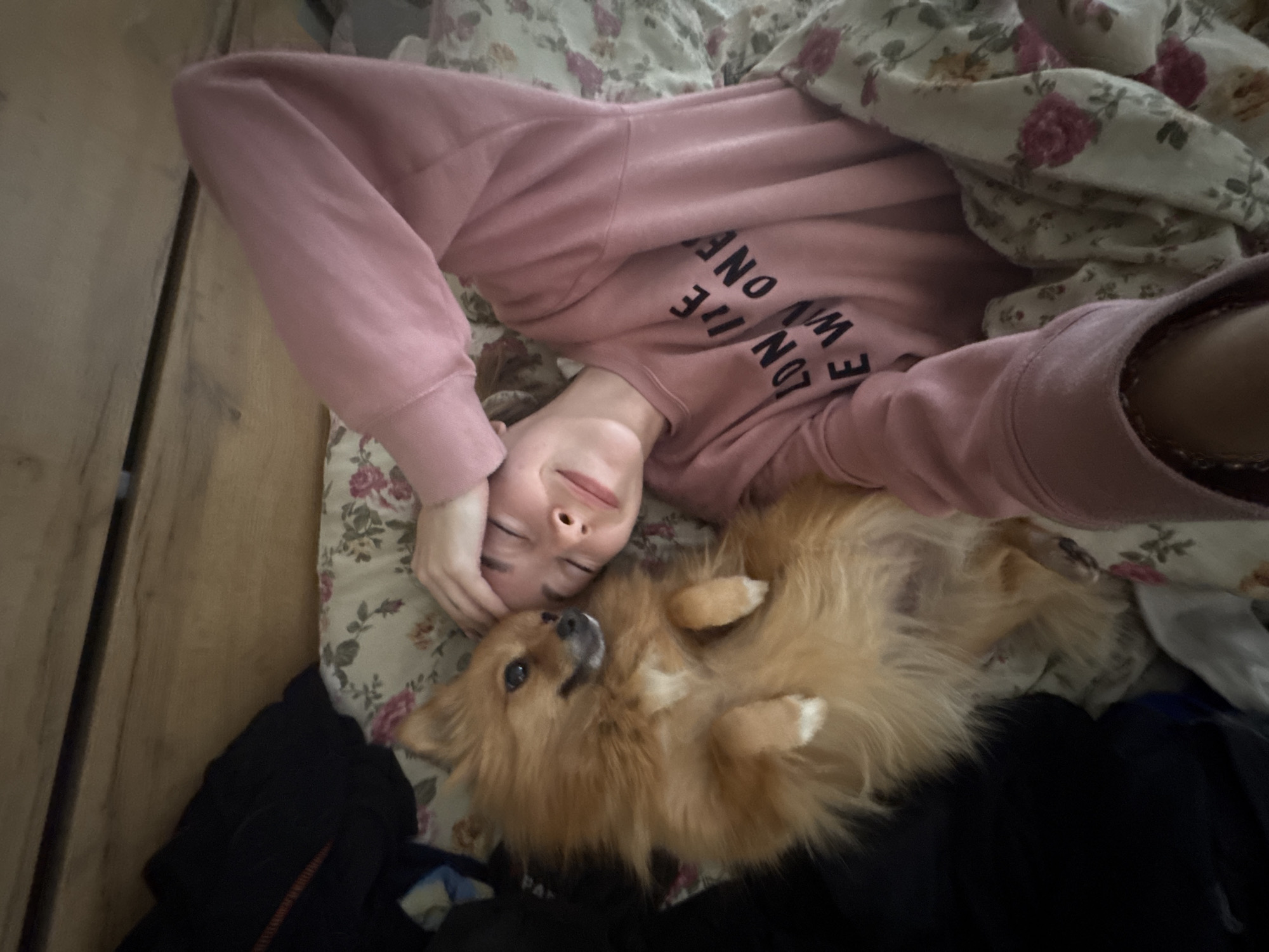 Person and Pomeranian share quiet morning moment in Sofia