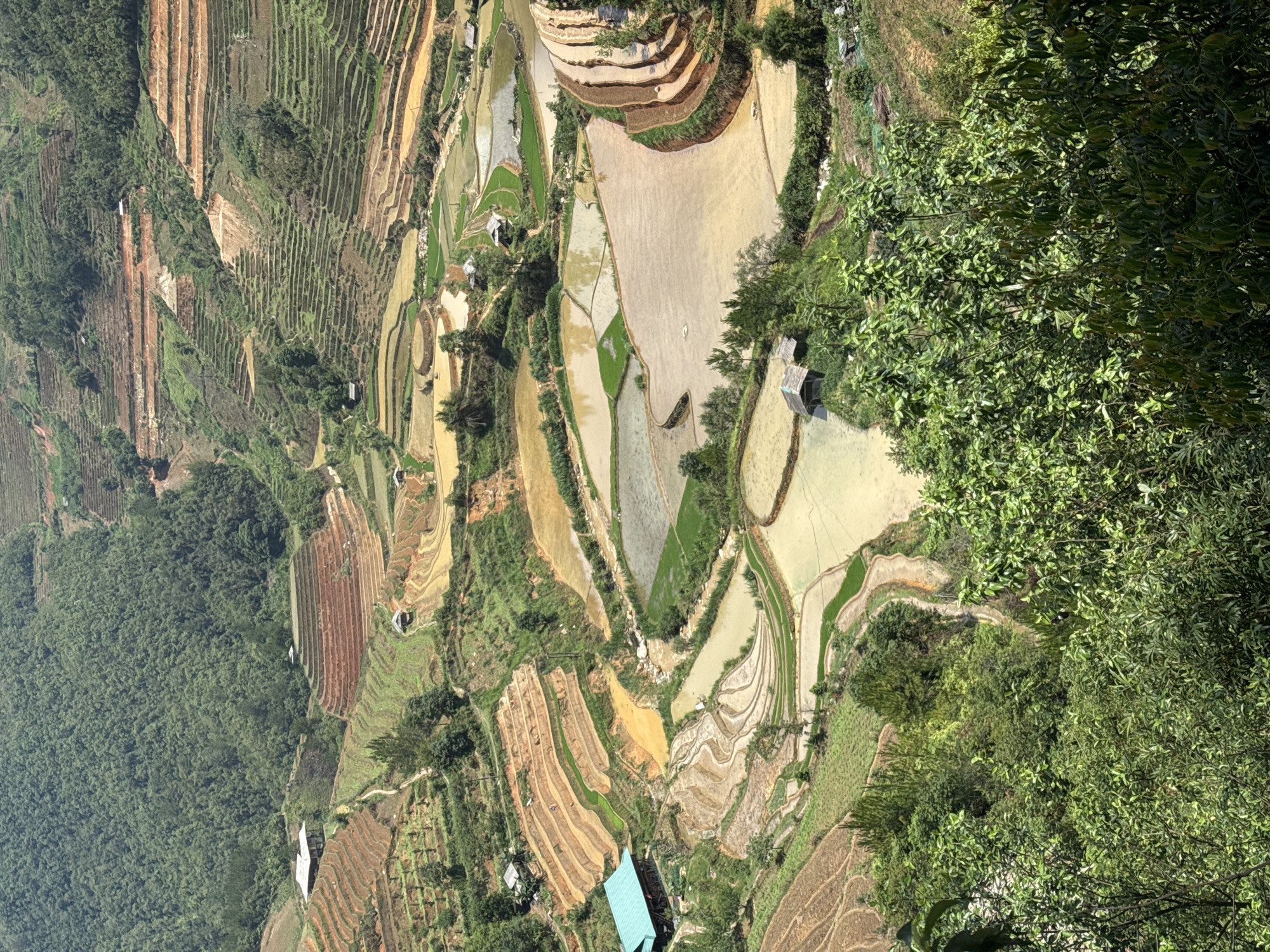 Travelers document breakfast amid Vietnam's terraced rice landscapes
