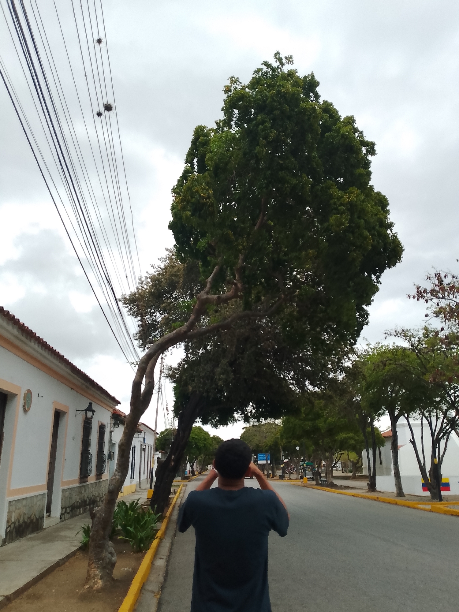 Quiet street scenes documented across Venezuelan towns Sunday afternoon