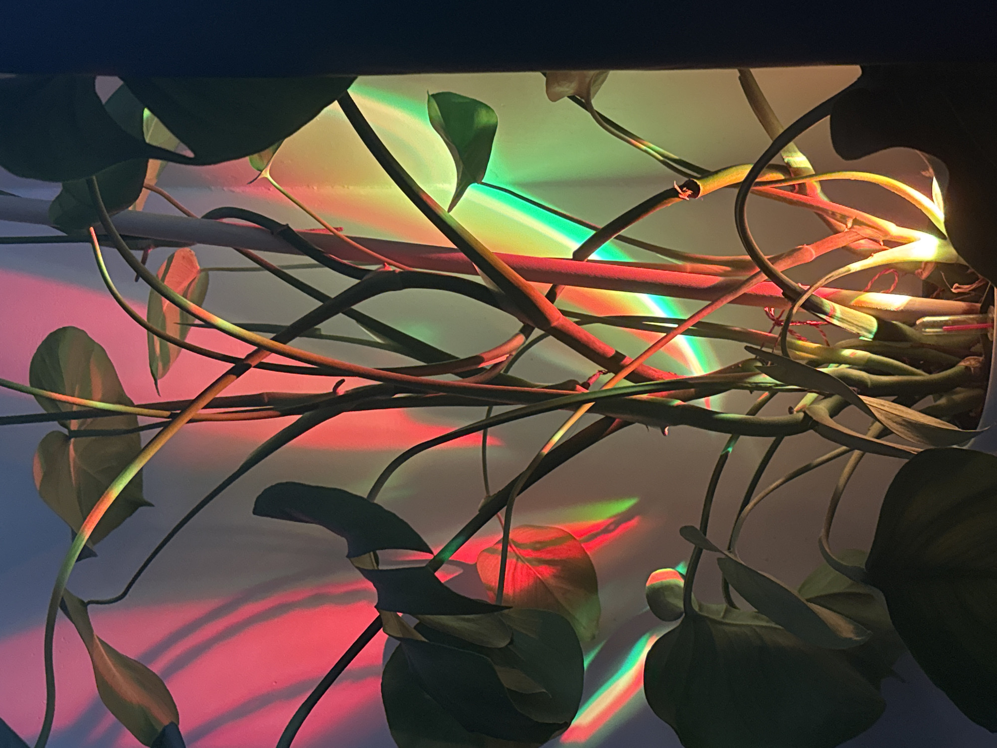 Colorful light and quirky objects fill a Moscow interior