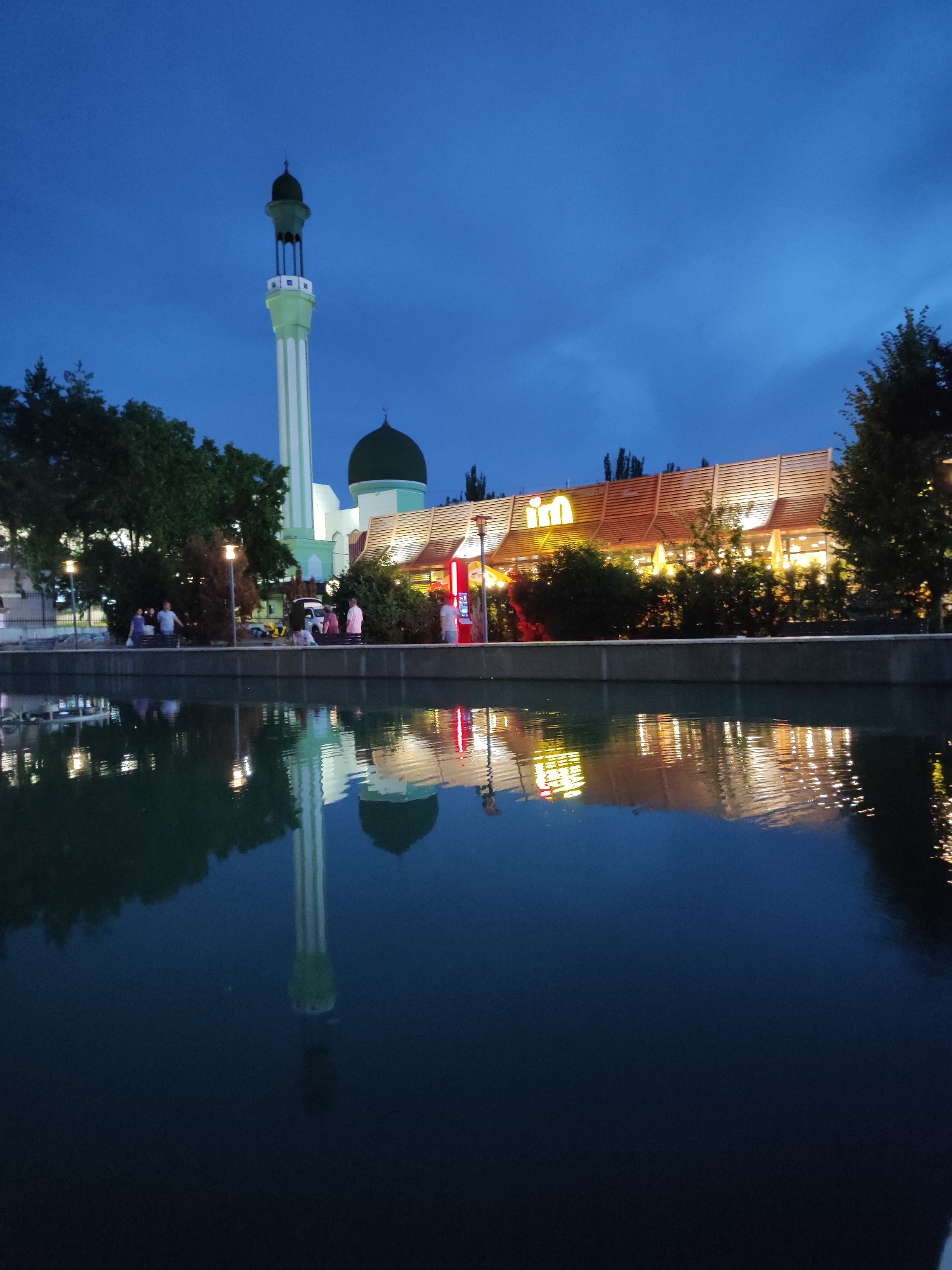 Almaty at dusk: a lit-up pond, a dog, and the neighborhood around it
