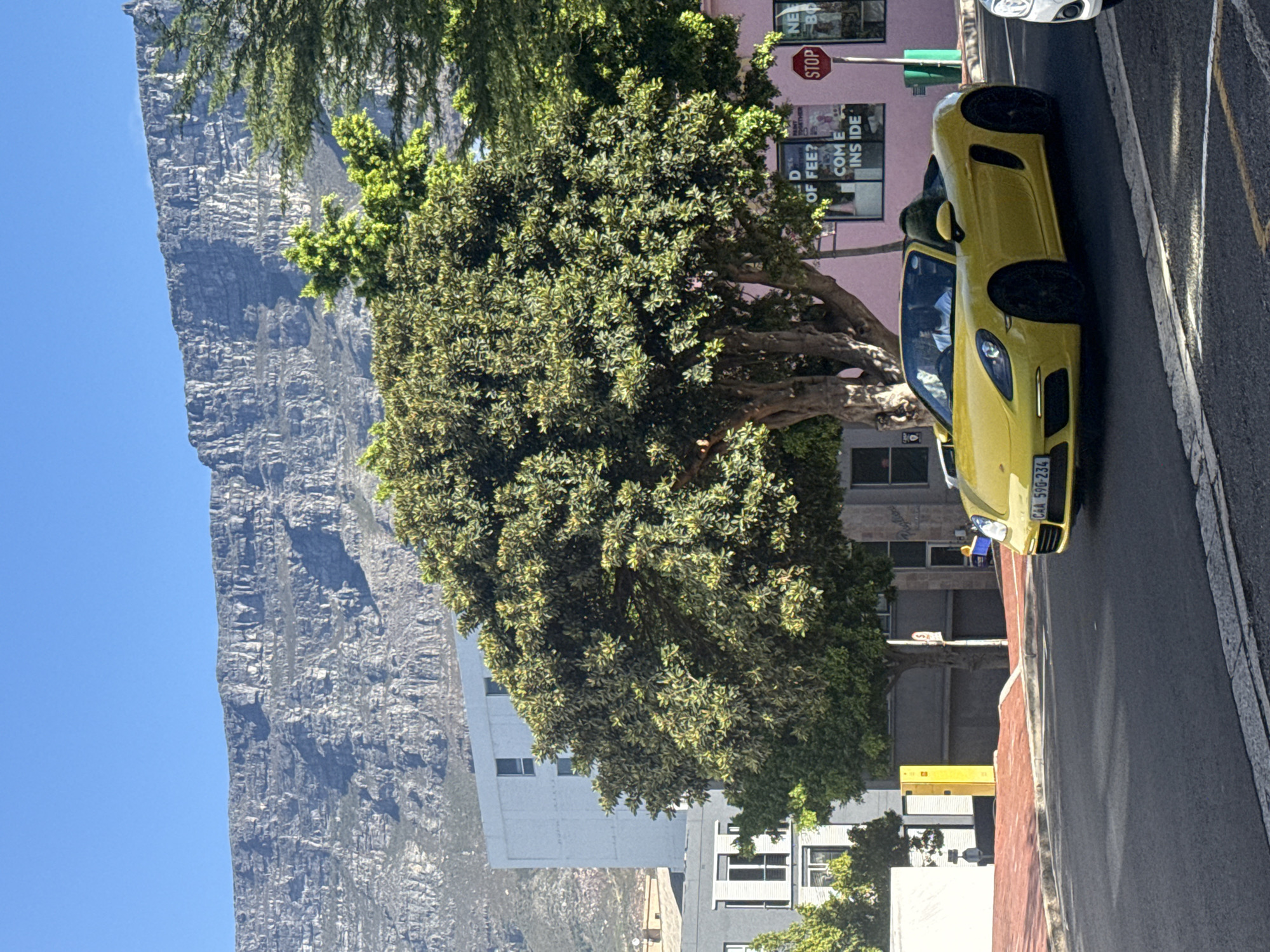 Afternoon snapshots capture Cape Town's diverse neighborhoods and landmarks