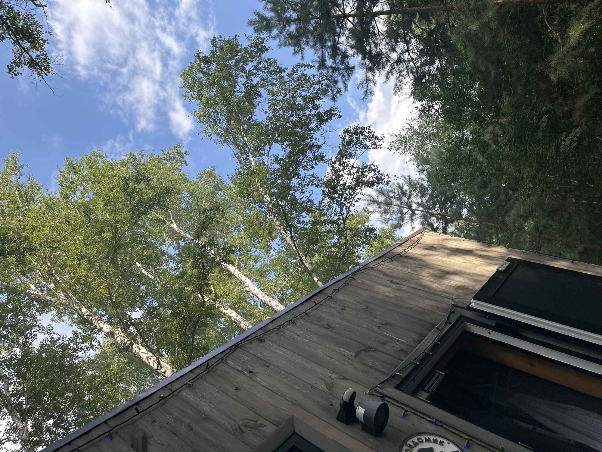 Lazy summer afternoon in a Russian forest hot tub retreat