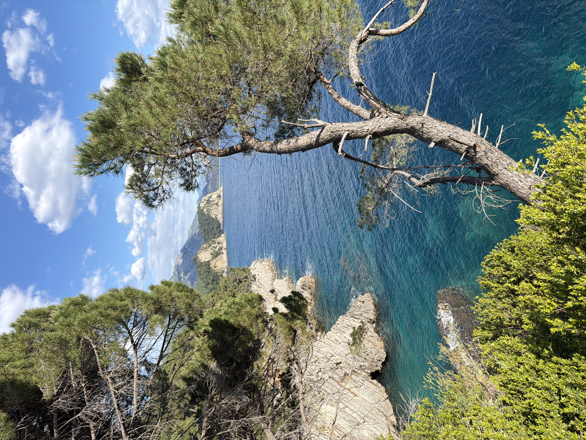 Coastal views captured along Montenegro's Adriatic cliffs near Petrovac