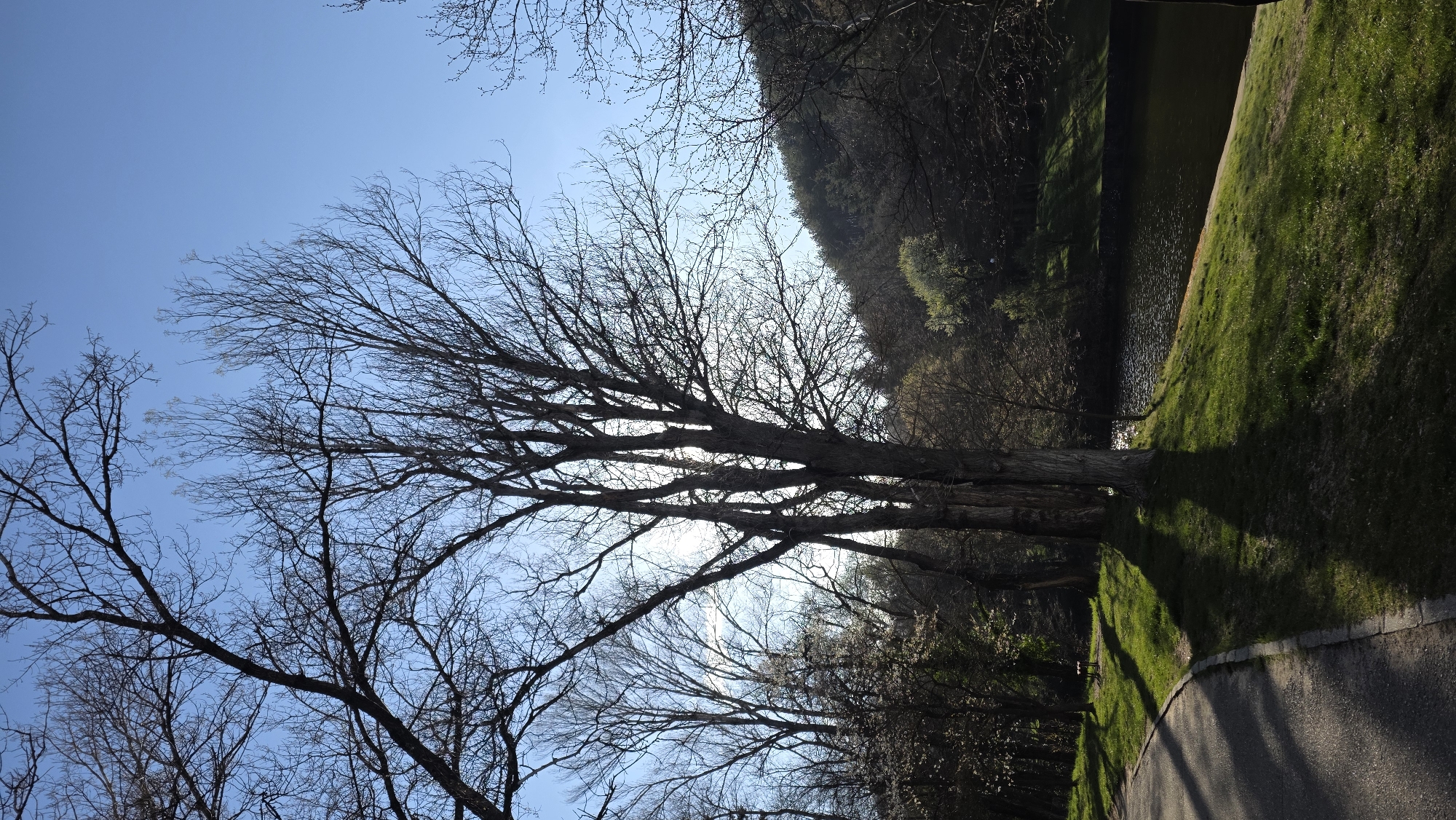 Morning walk documented through Blagoevgrad park with waterfall feature