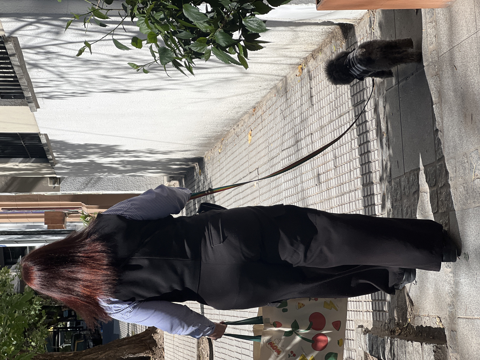 Buenos Aires afternoon street life documented in 30 casual moments