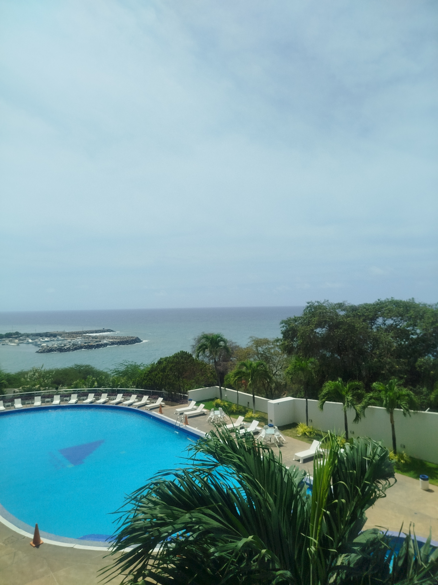 Blue swimming pool with white chairs observed in tropical setting