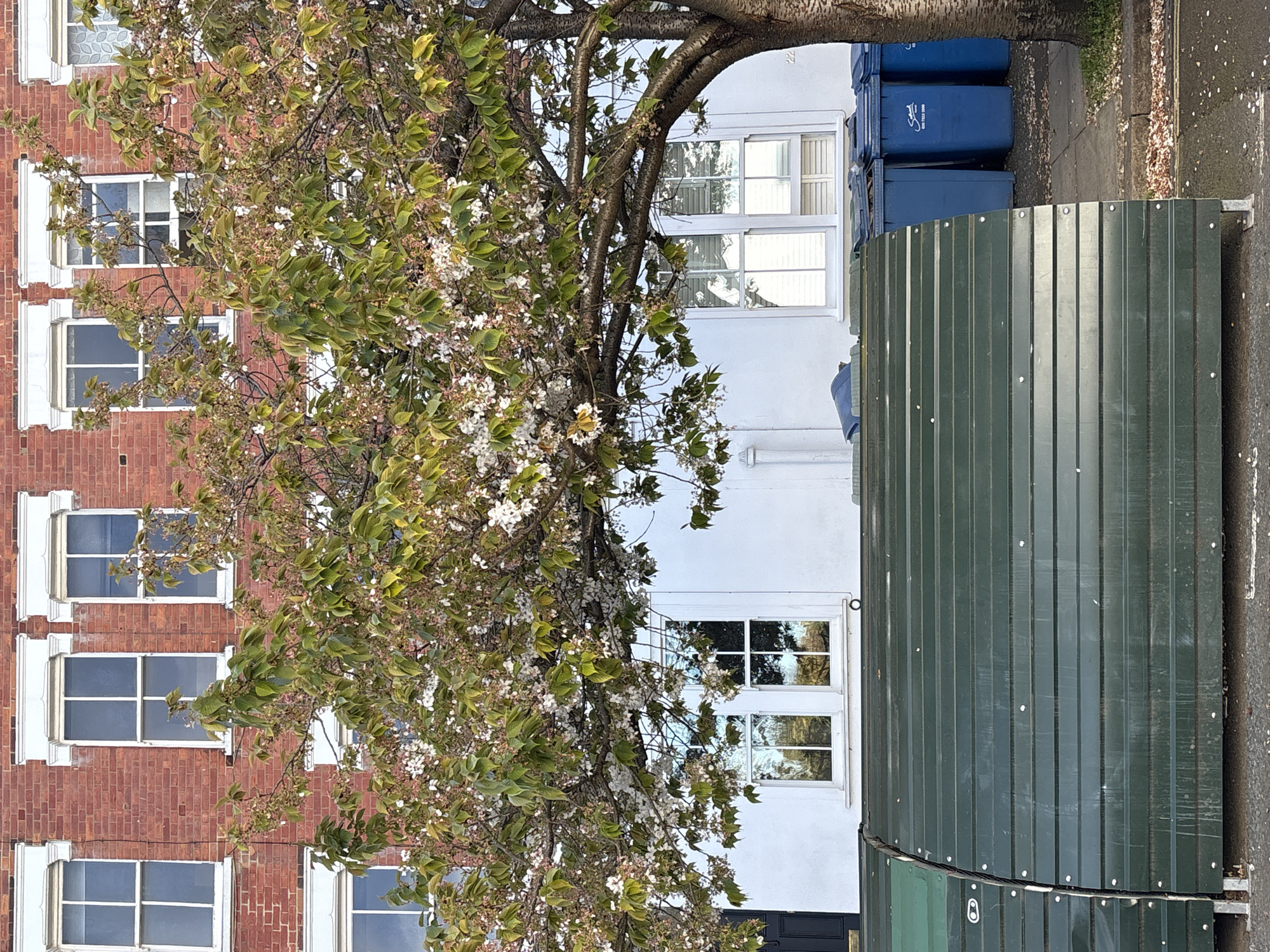 London resident documents neighborhood street scenes on spring afternoon