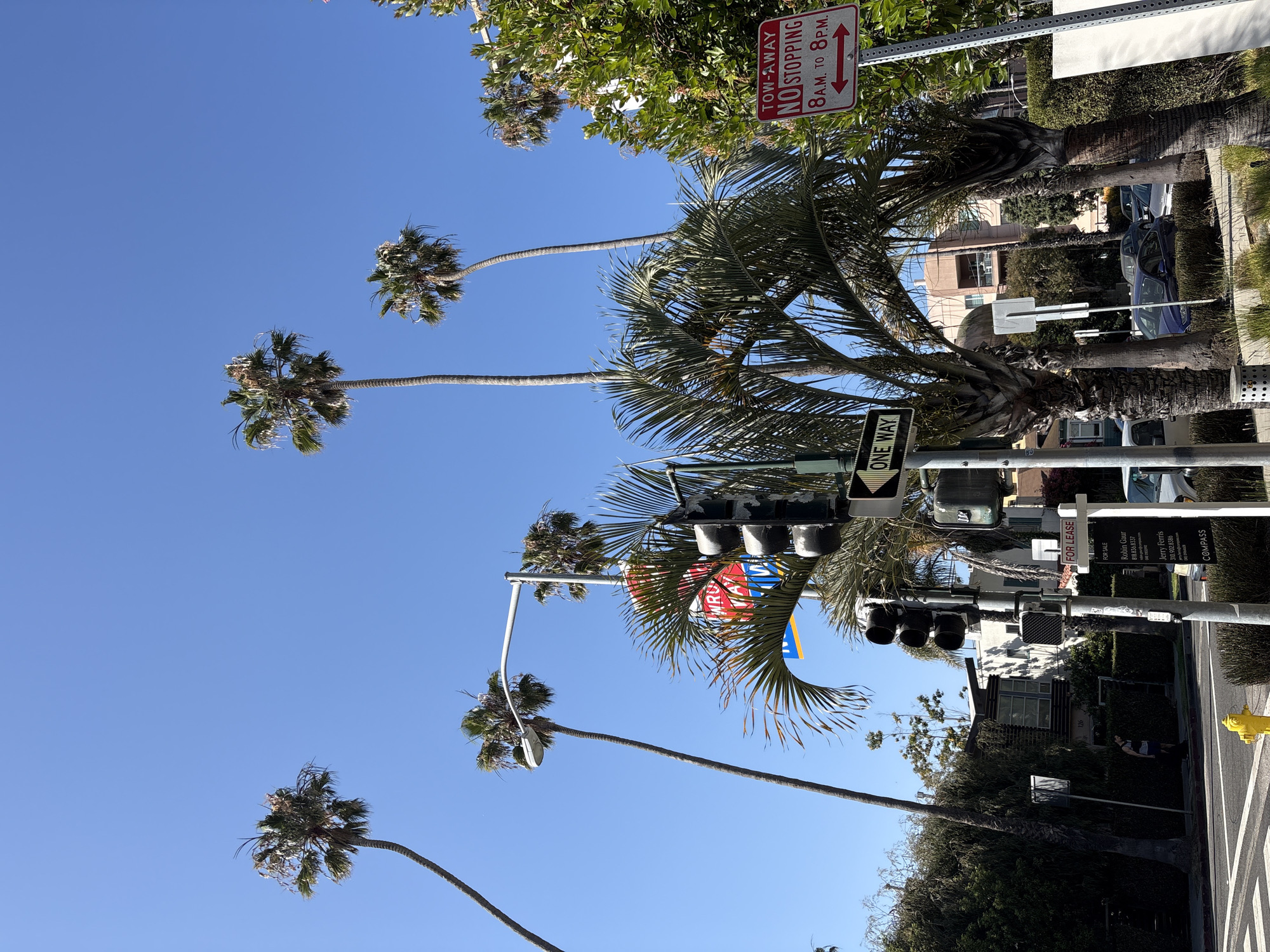 Clear skies and palm trees observed on Santa Monica street