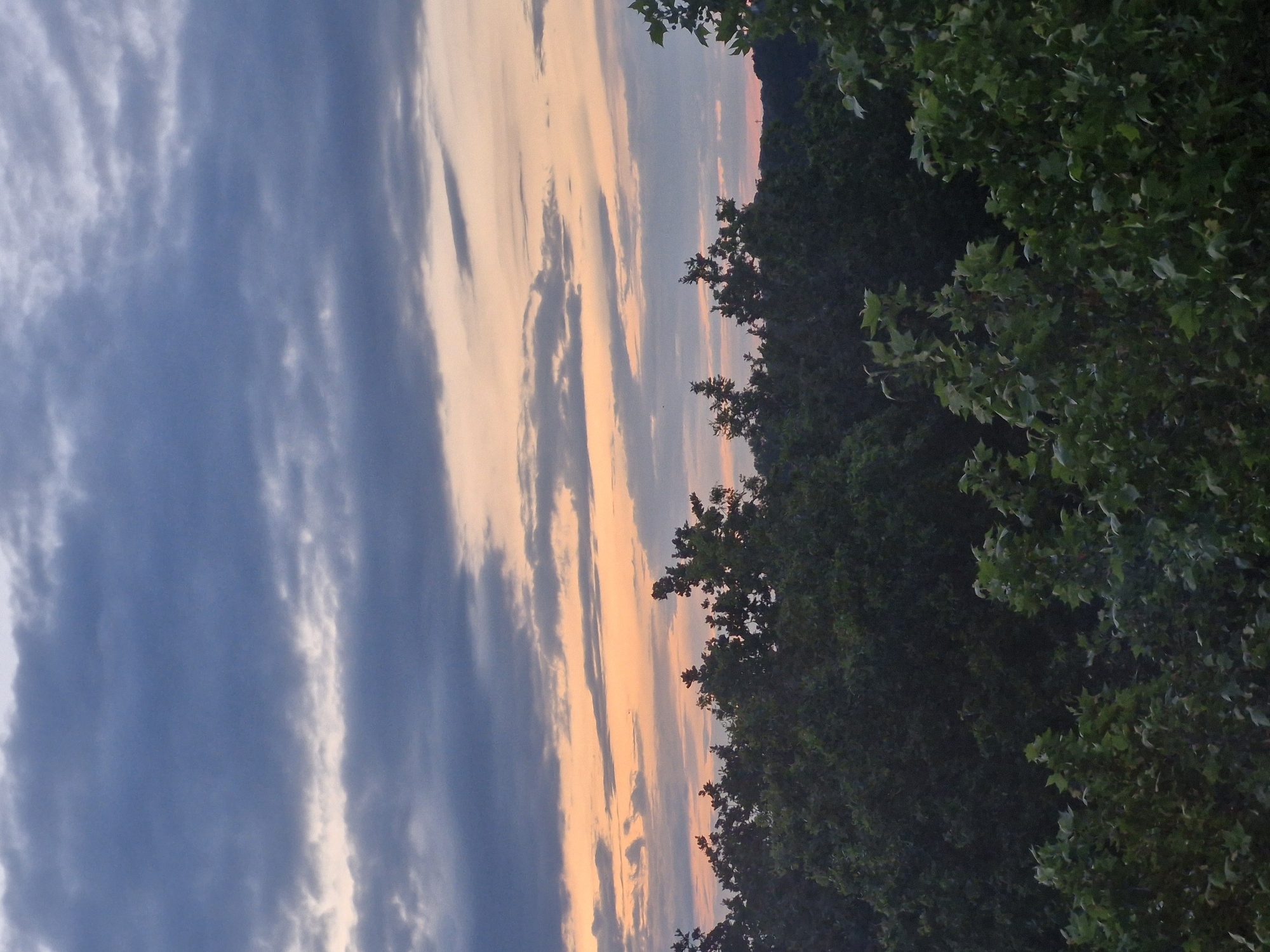 Evening documentation of domestic life and twilight views in Bremen