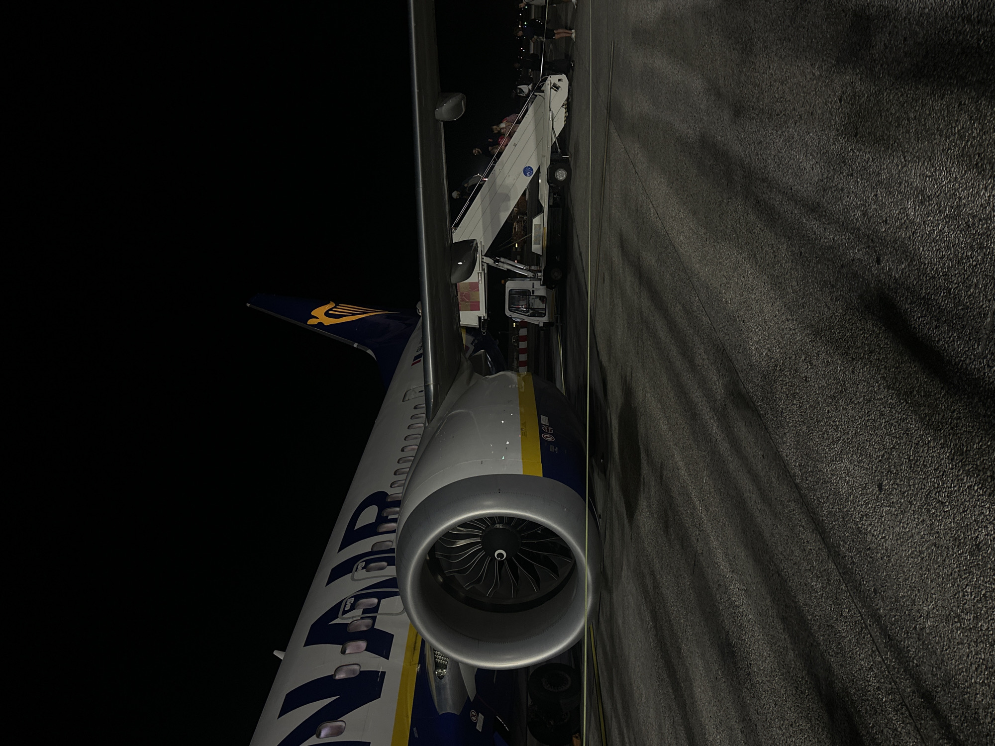 Young adults gather at Pisa airport during evening flight operations
