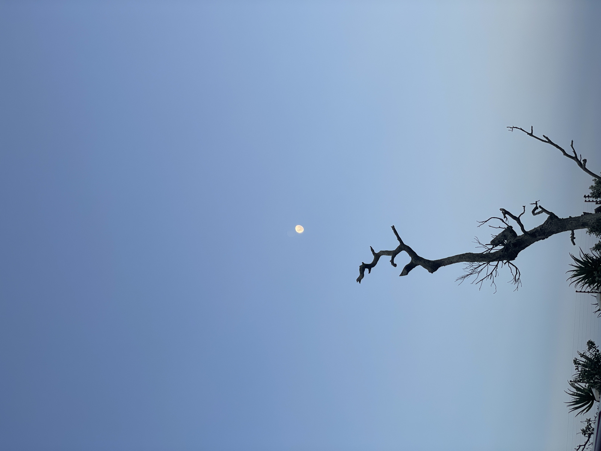 Cars parked along road in Umhlanga under daytime moon