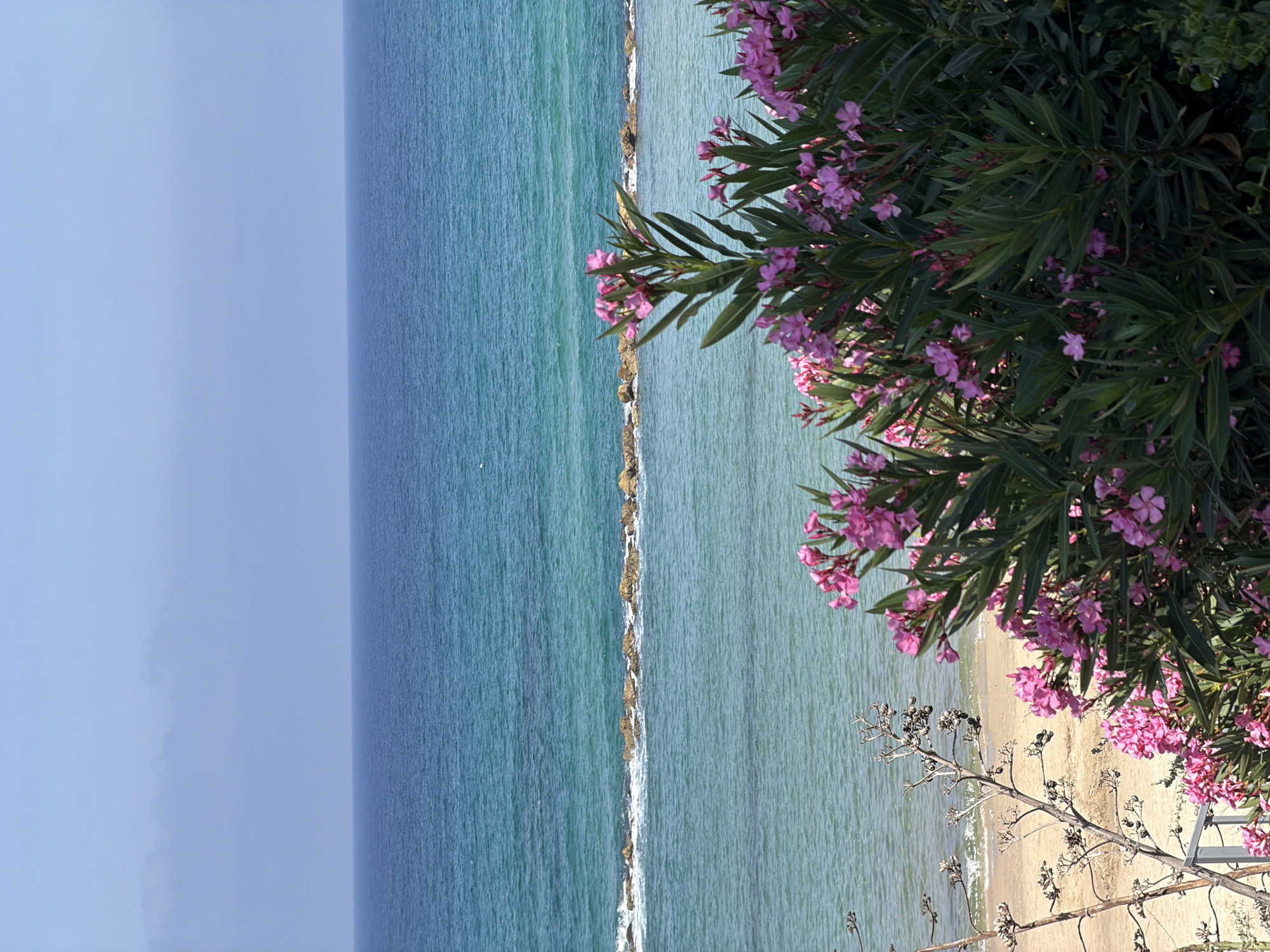 Morning beach scenes documented along Bat Yam coast