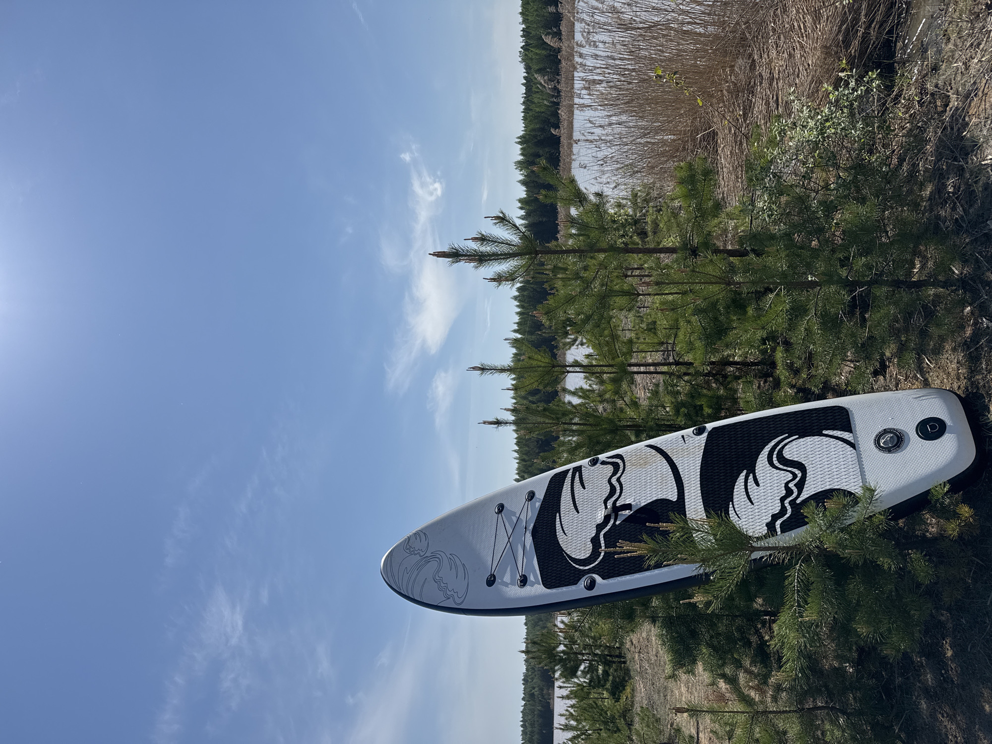 Paddleboard spotted on land near water in Noviy, Russia