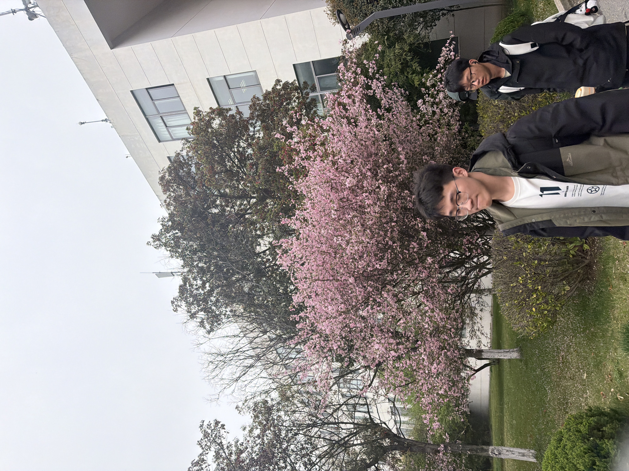 Spring blossoms documented in Jiangning District park area