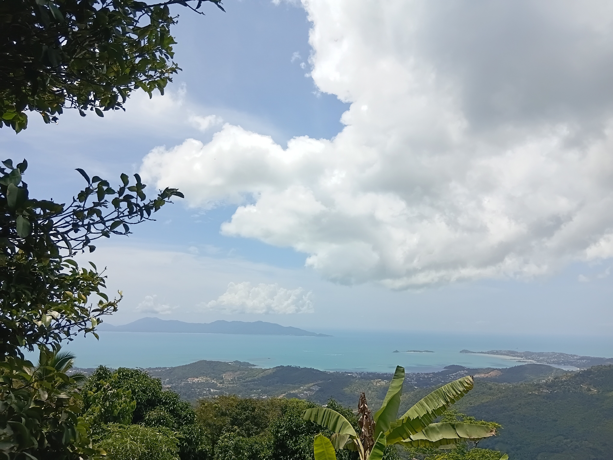 Hilltop views and tropical flora along the Ko Samui coast