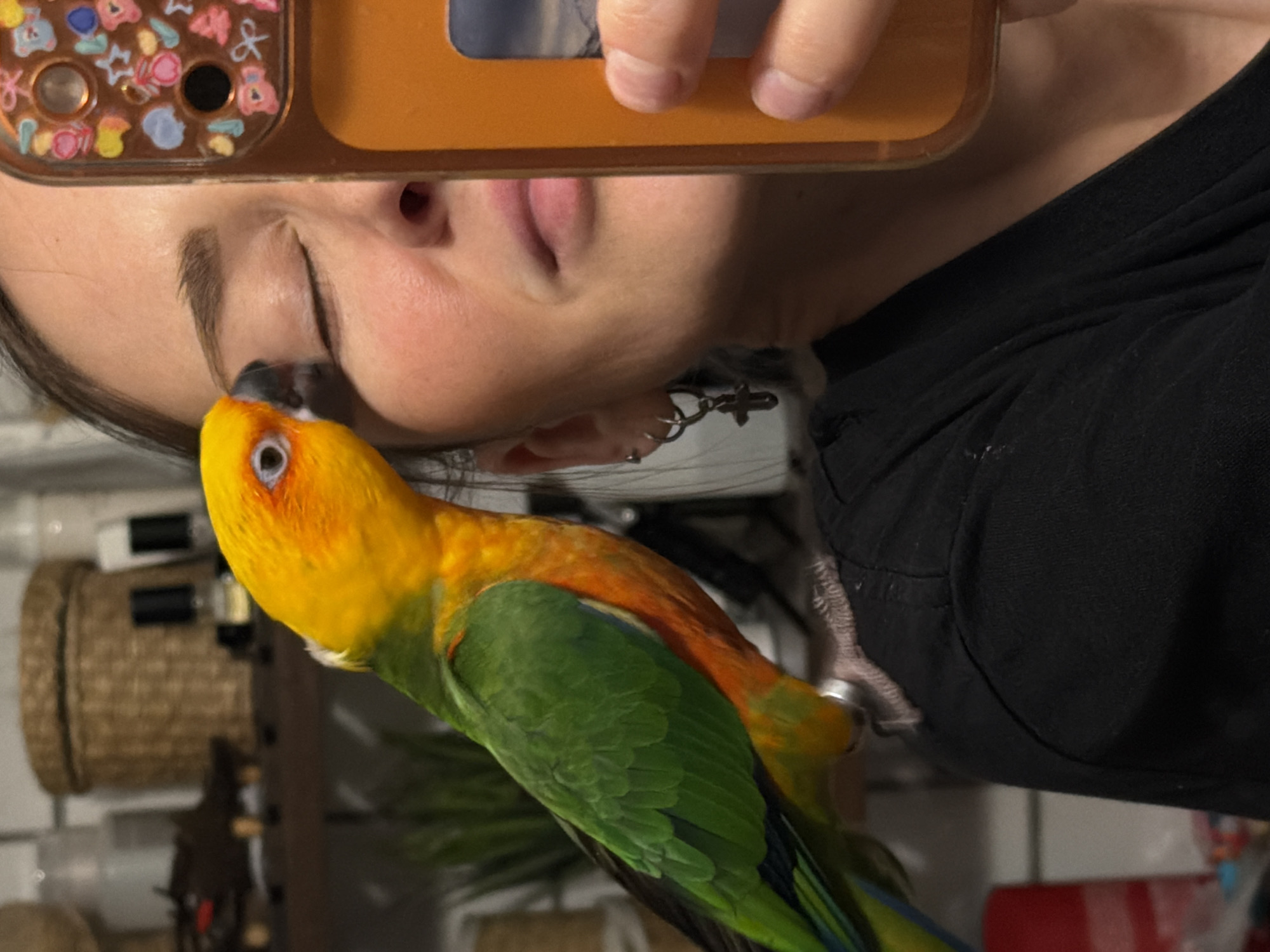 Family documents daily life with colorful parrot in Khimki