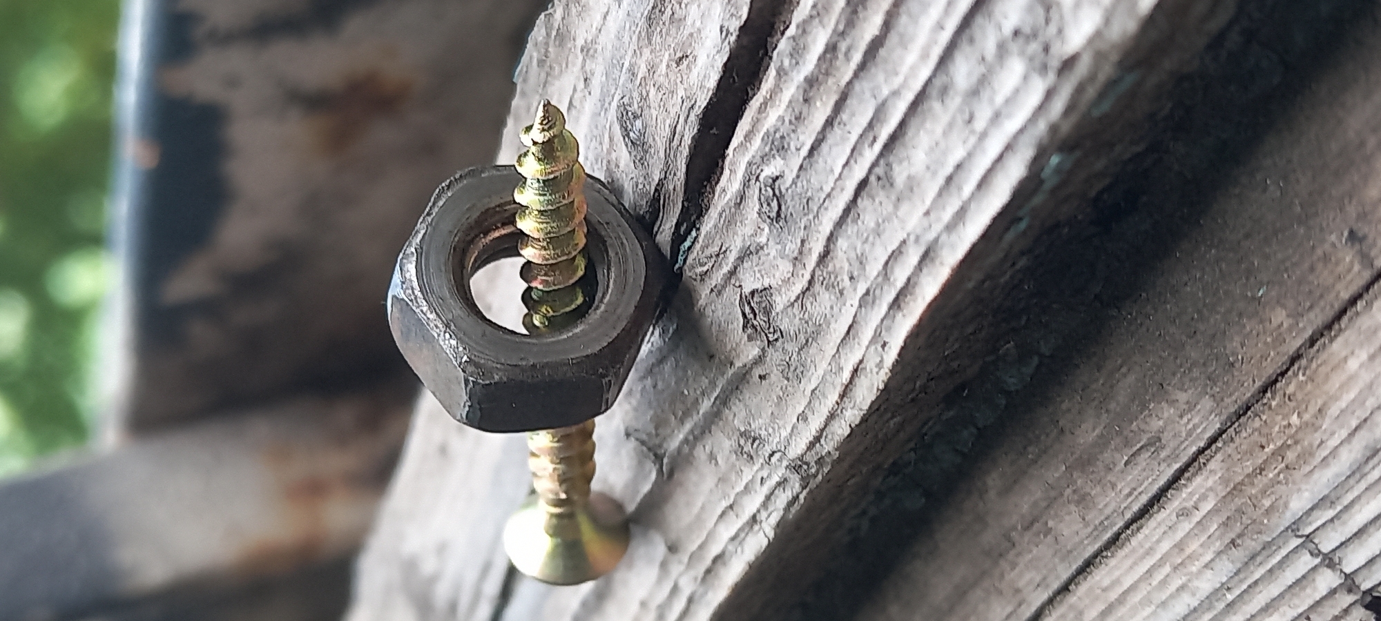 Personal objects catalogued in detailed close-up photography session