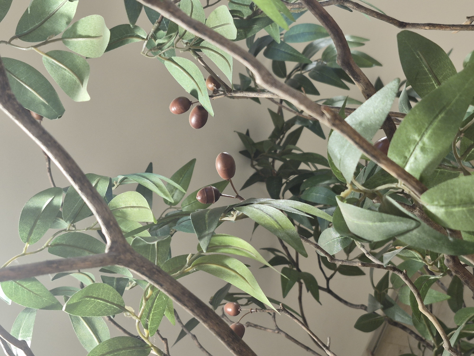 Plants and small paintings in a Seoul interior setting
