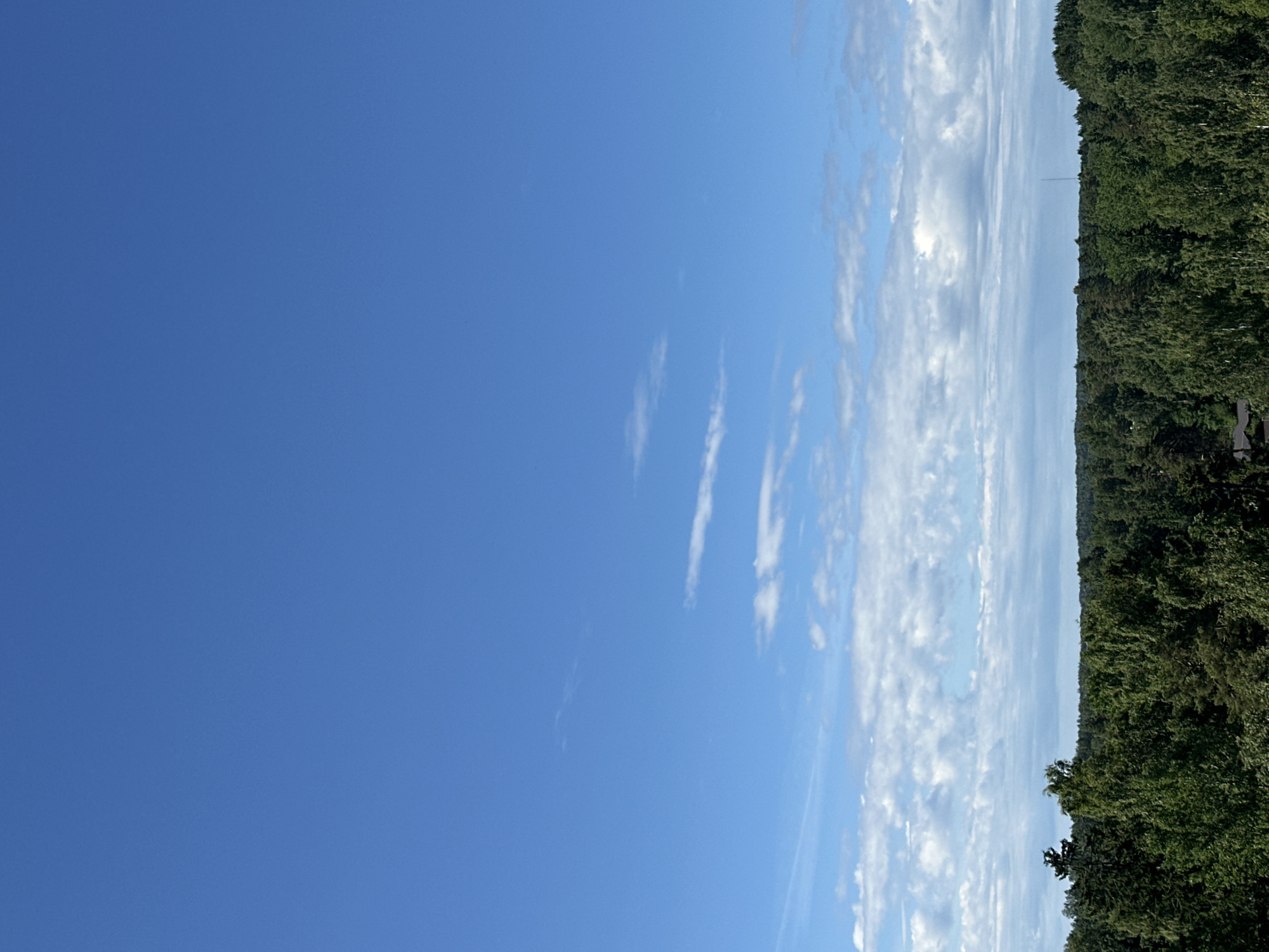 Planes on final approach over Helsinki's forested suburbs