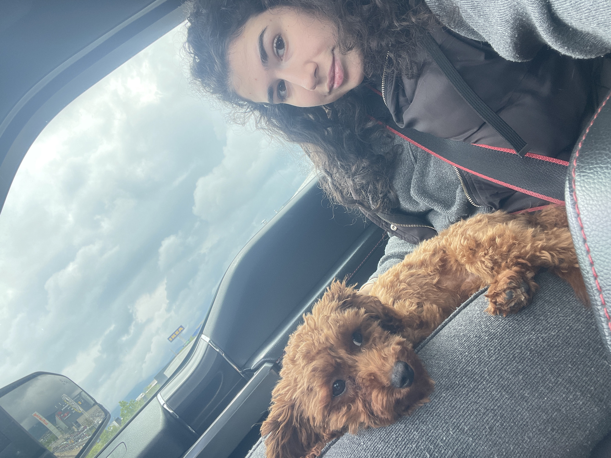 Woman and poodle share quiet car moment in Sofia