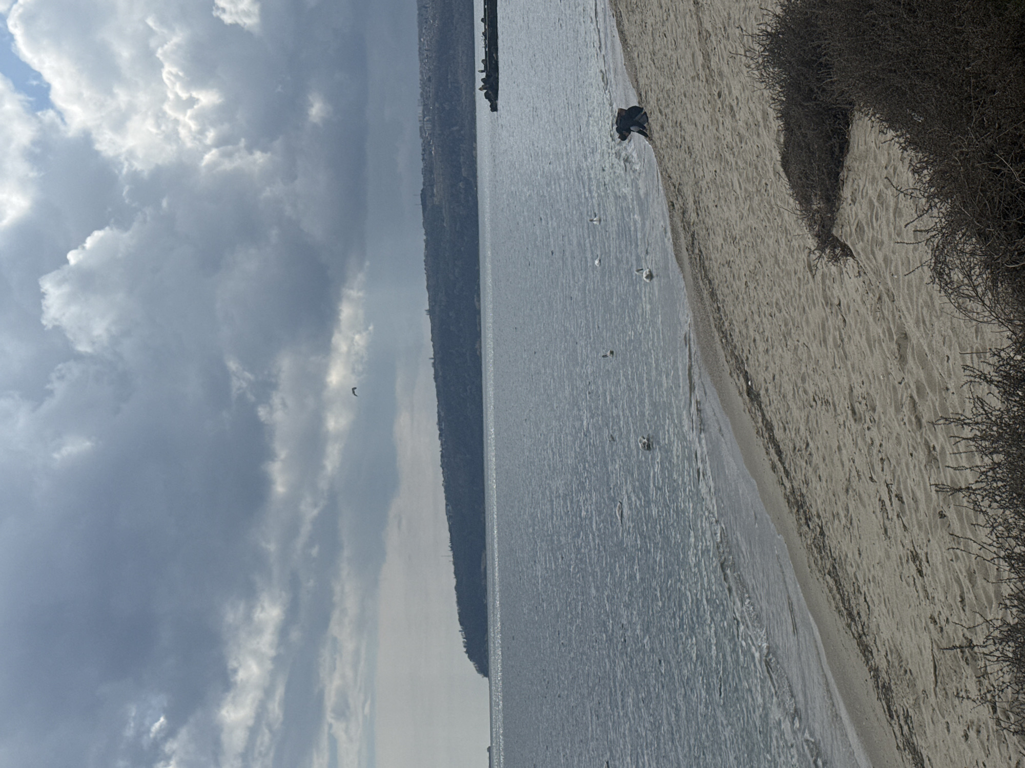 Coastal moments captured along Varna's Black Sea shoreline