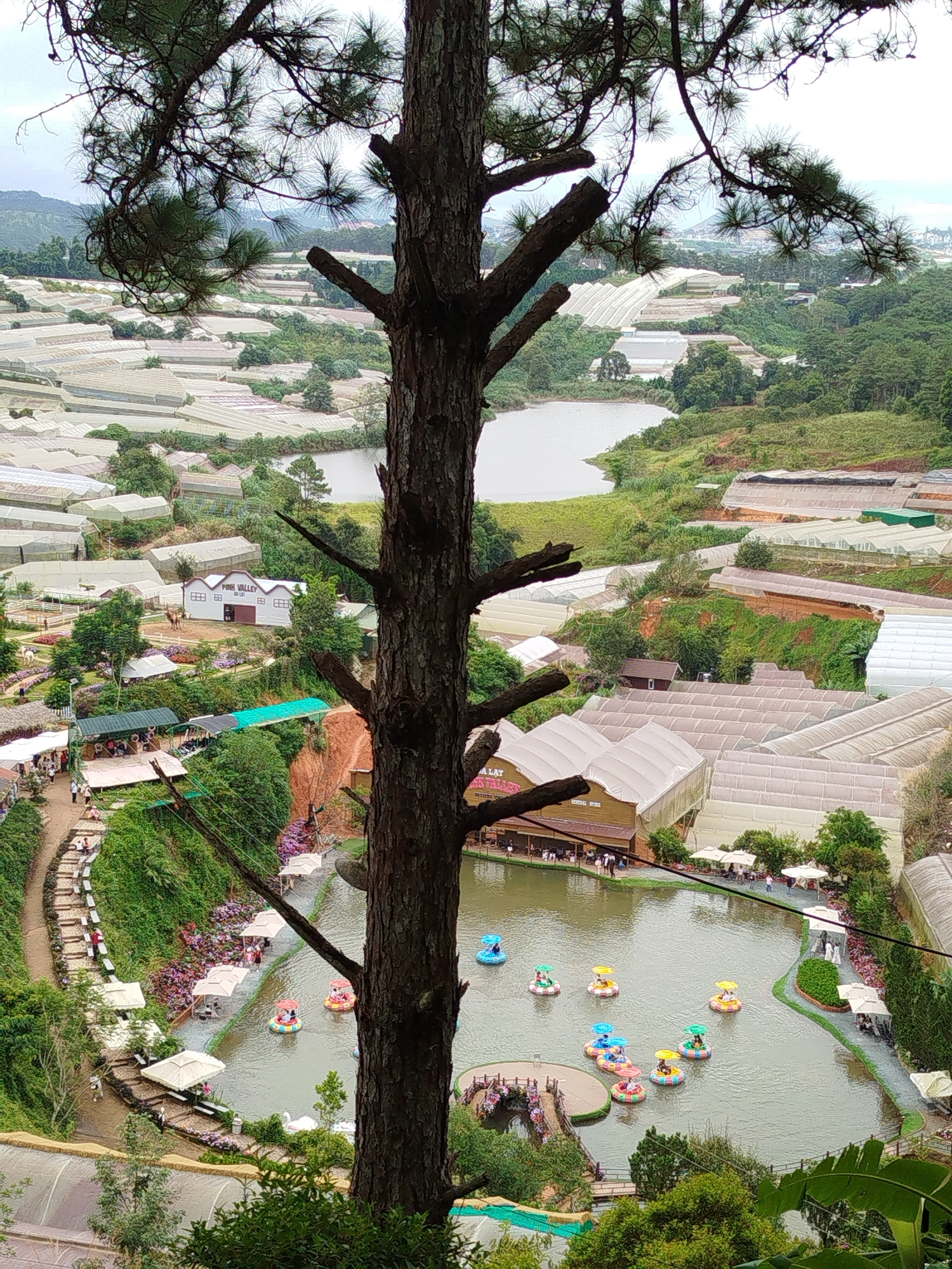 Exploring Cam Ly's greenhouses, shrines, and hillside scenery in Da Lat
