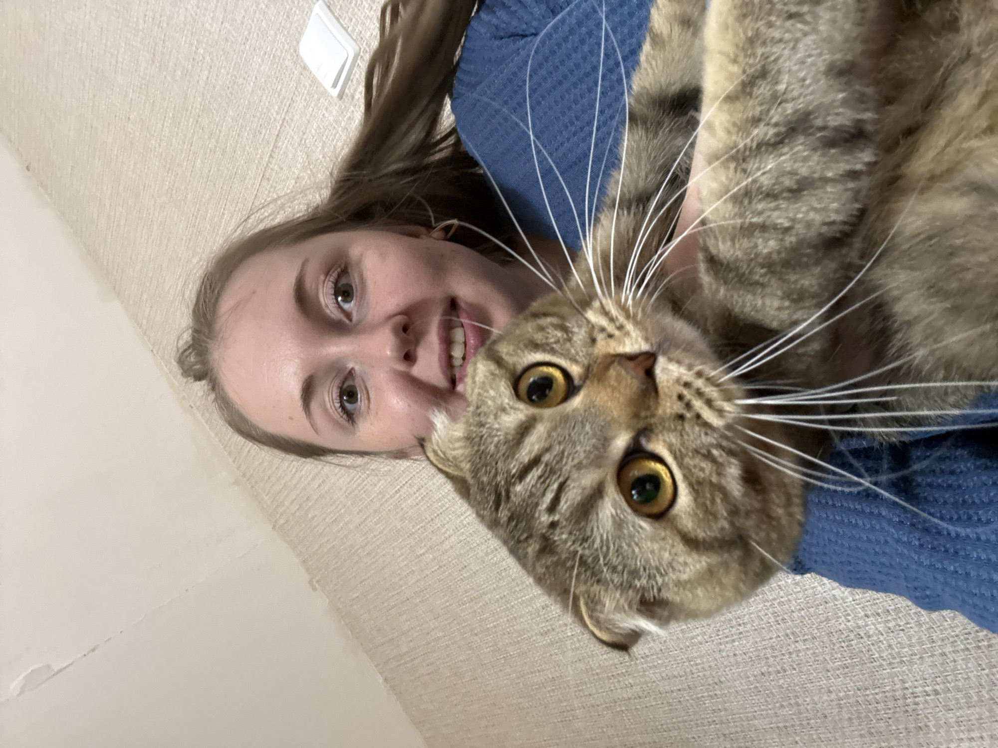 Hanging chair hangout with a tabby cat