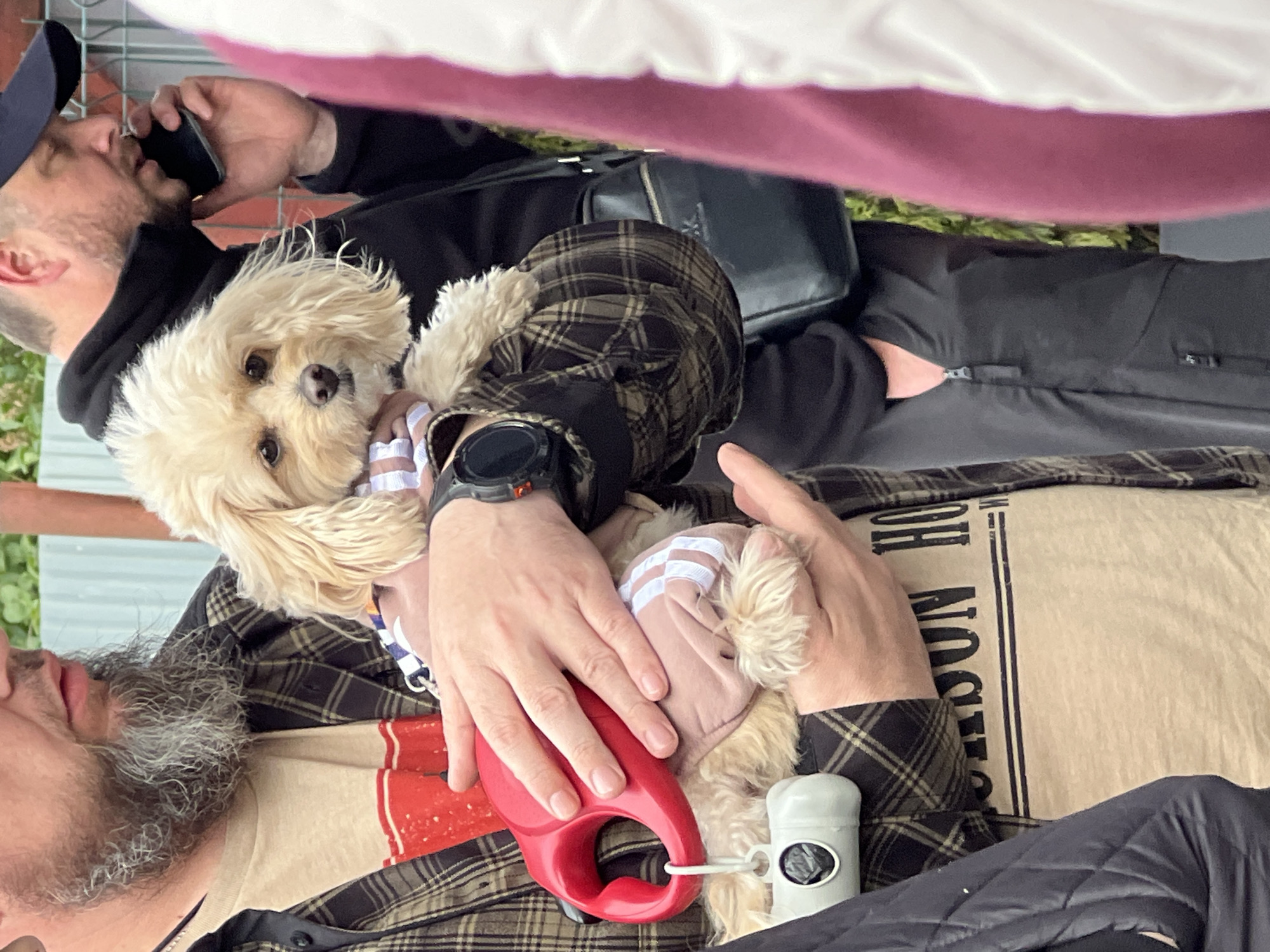 Casual gathering with dogs and food preparation in Velyki Hai