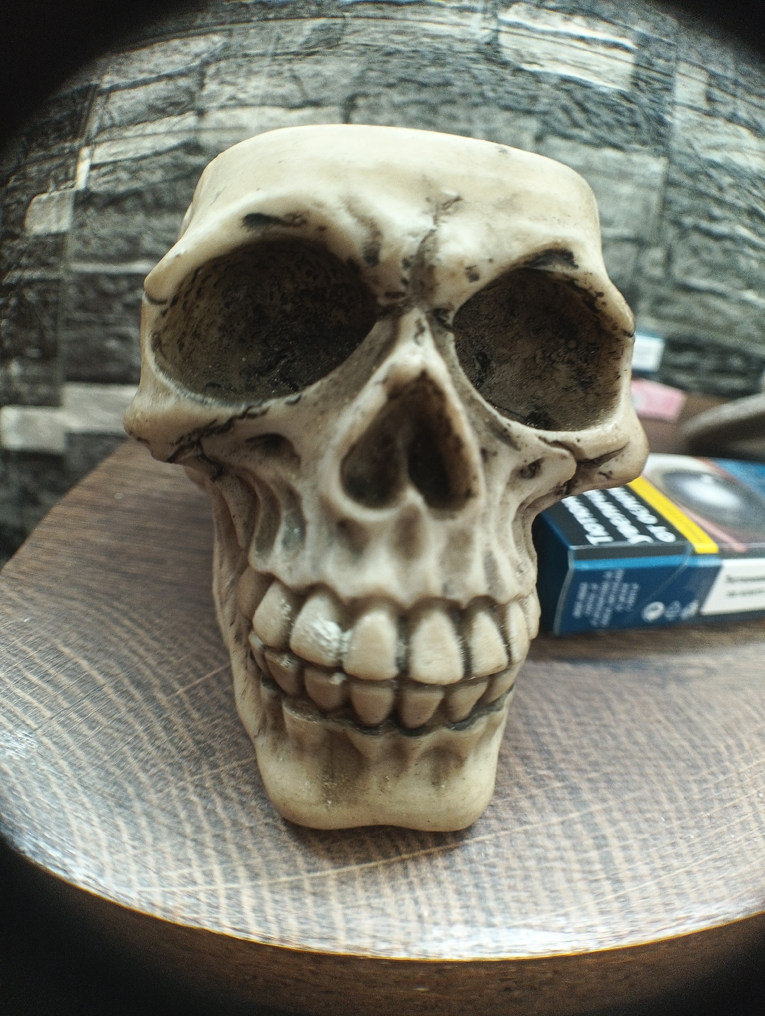 Decorative skull objects photographed in Karnobat, Bulgaria
