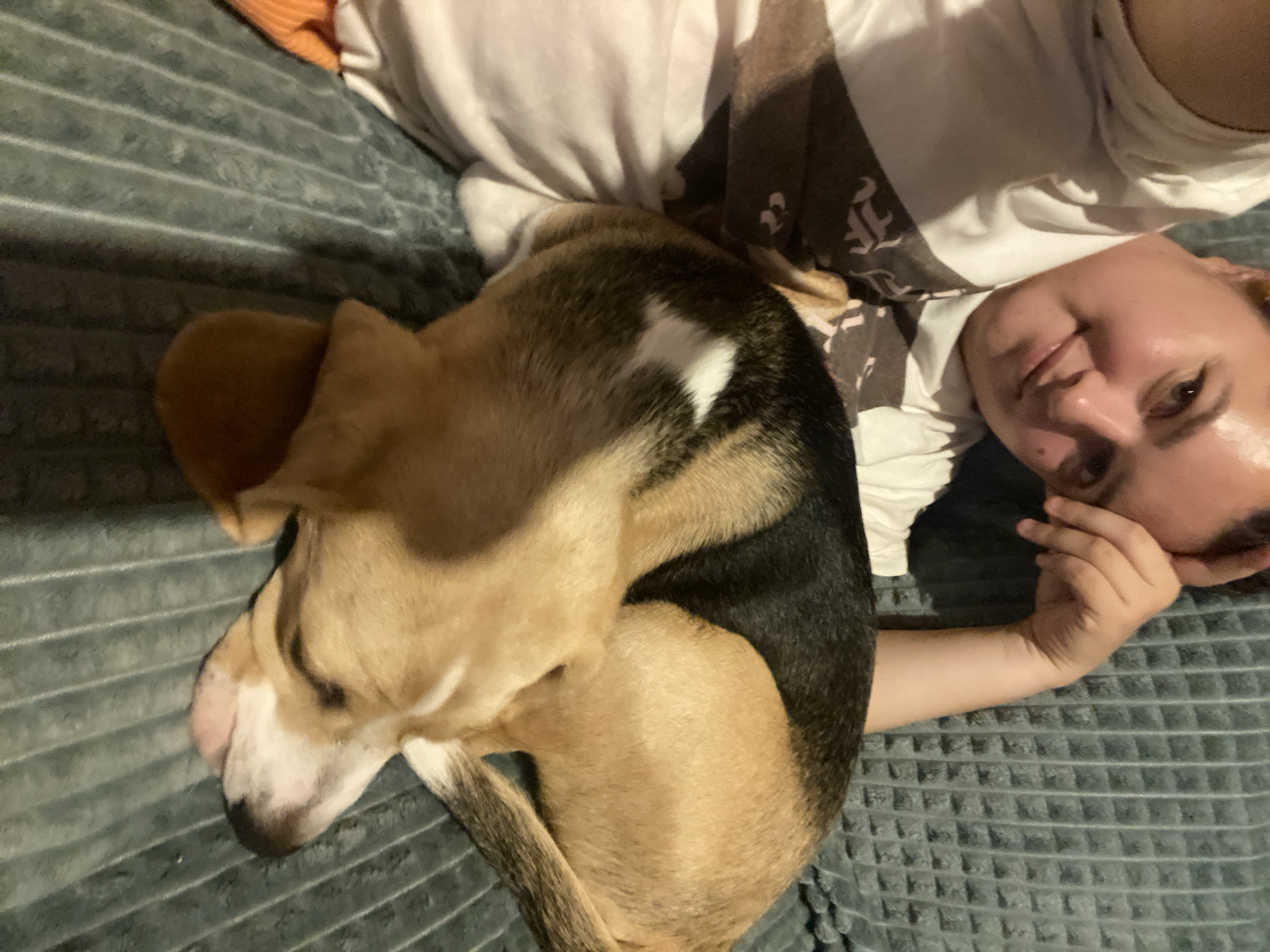 Casual afternoon in Perm, indoors with a dog and out on wet streets