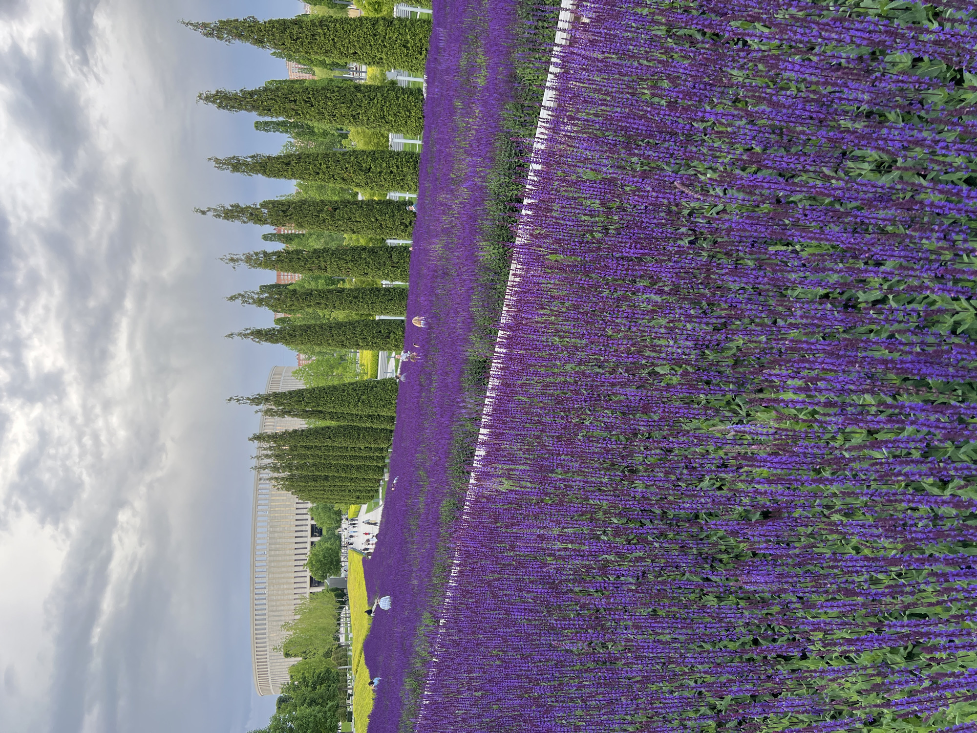 Visitors document afternoon at Krasnodar park with flowers, sculpture