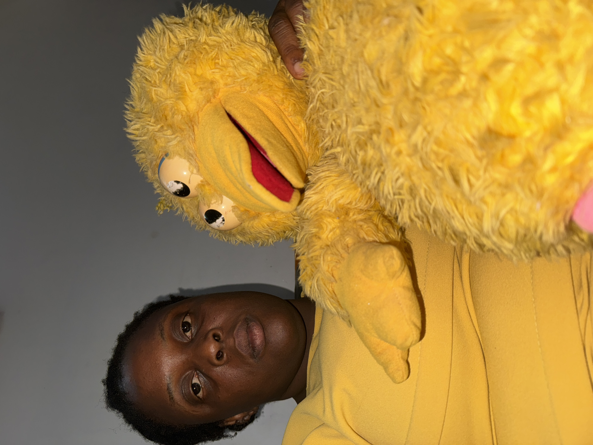 Witnesses document playtime with Big Bird, leopard stuffed animals