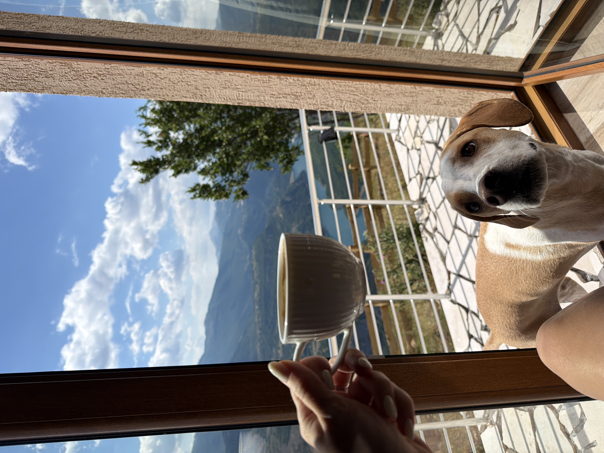 Coffee, a dog, and river views in Bukovac, Montenegro