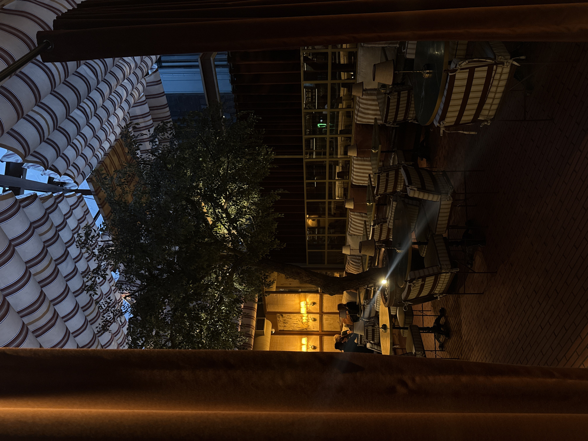 Cape Town restaurant dining and cafe service documented