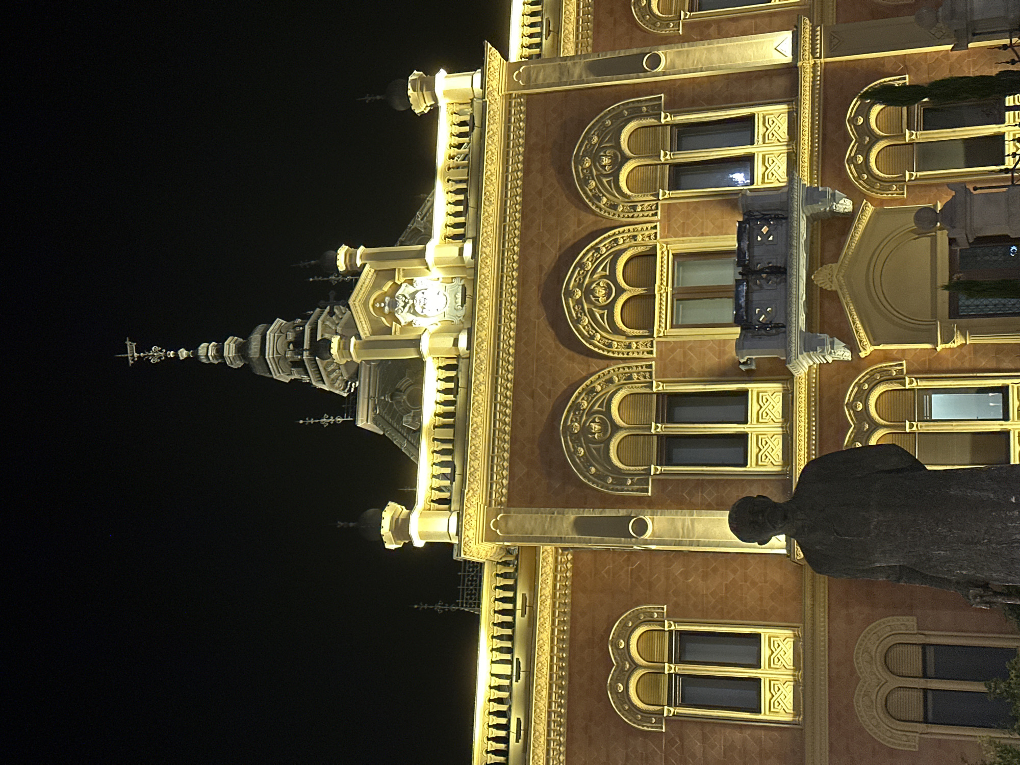 Night out near Novi Sad's illuminated landmarks