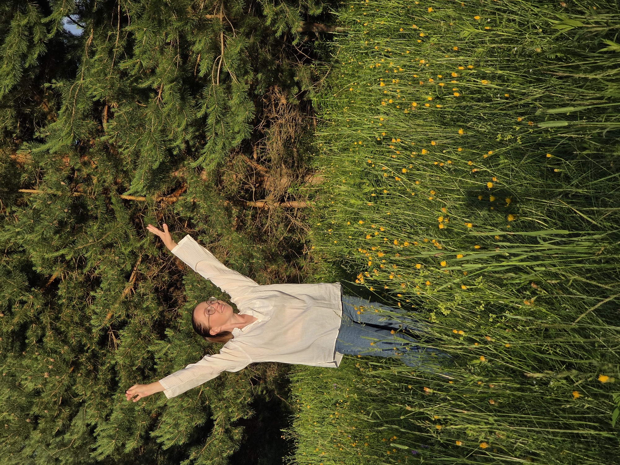 Afternoon in the pine forests and wildflower meadows of Chaikovsky