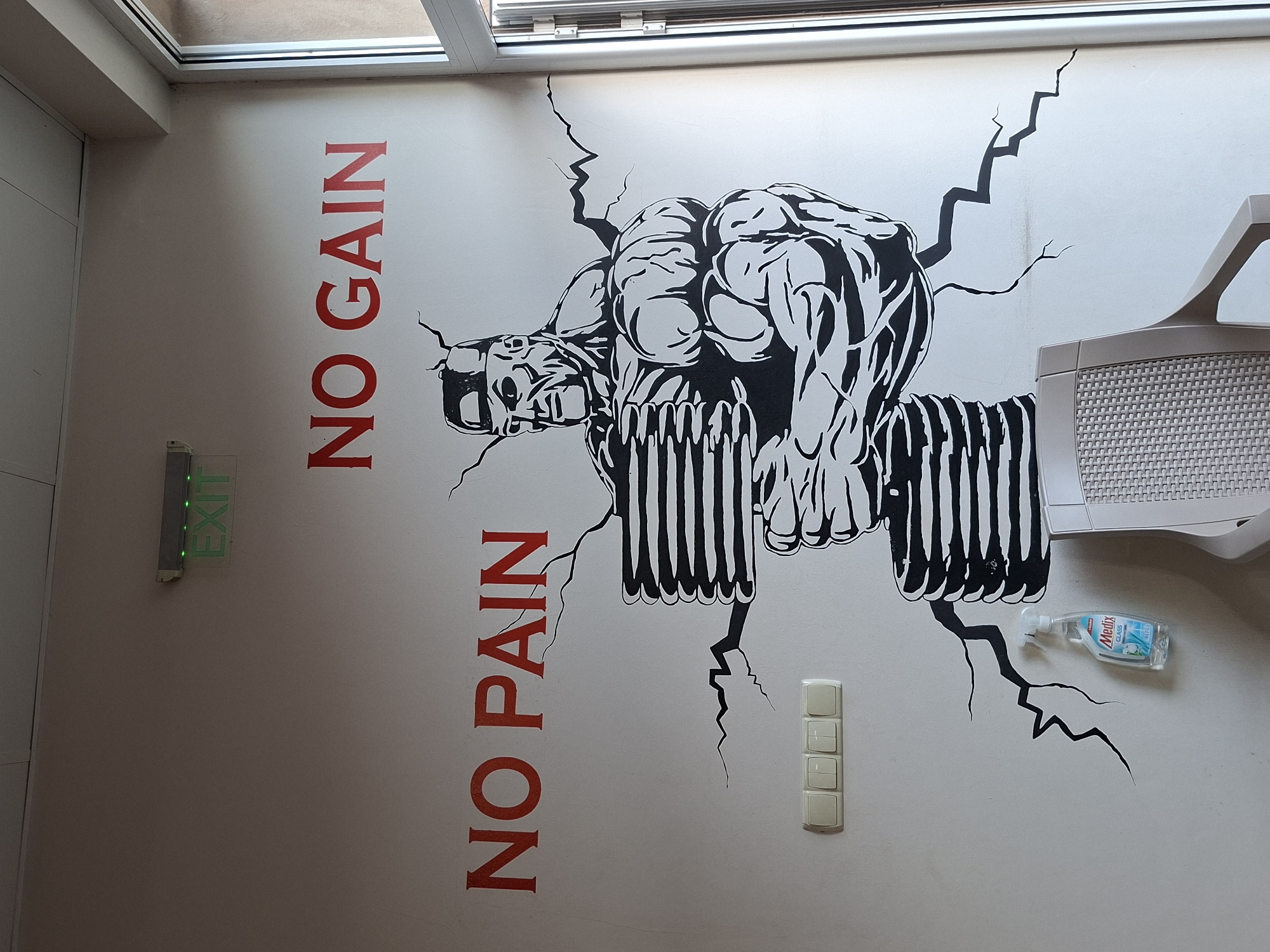 Gym interior documented in Gabrovo featuring mural and photo display