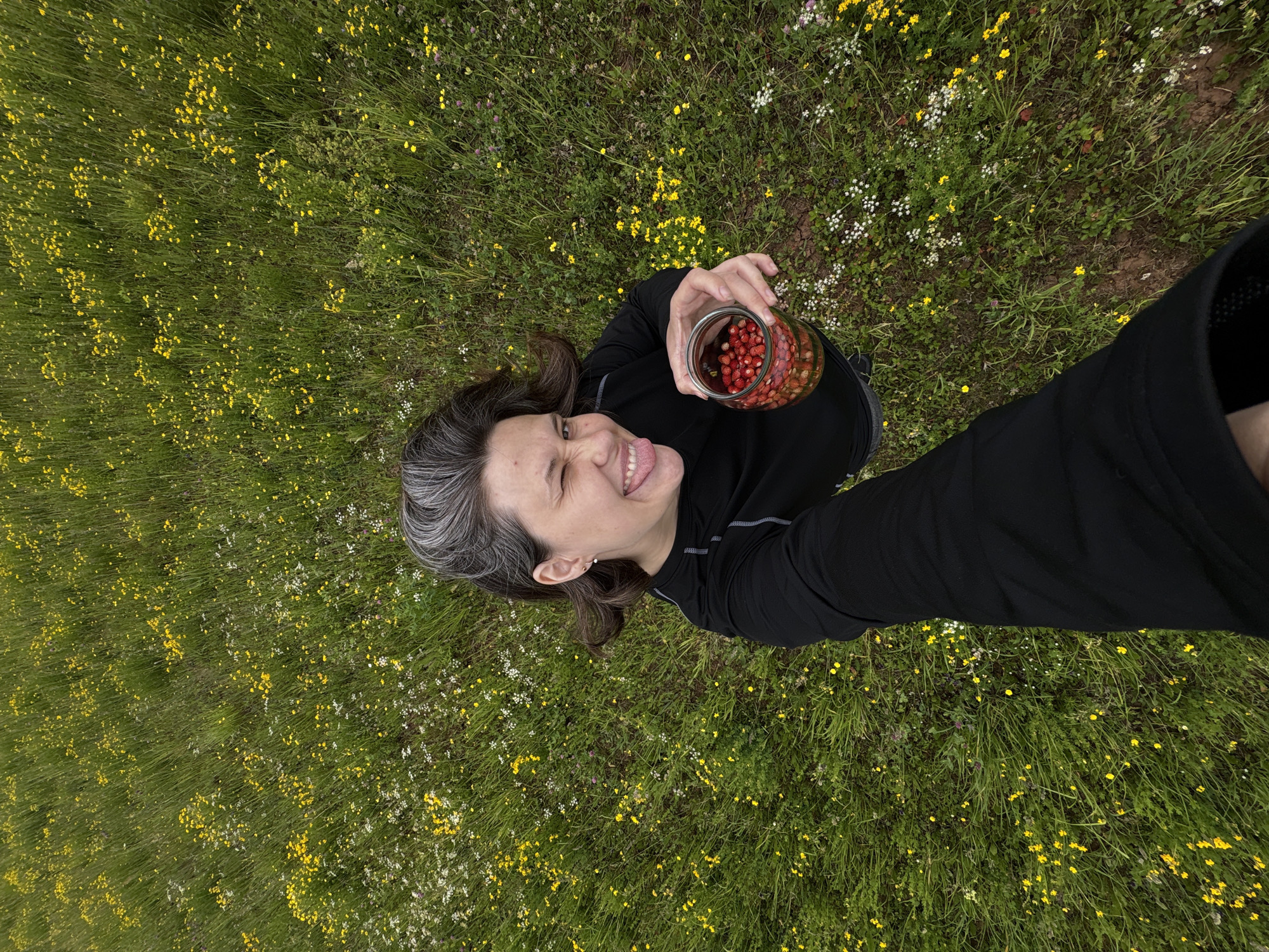 Woman forages wild strawberries in meadow during morning hours