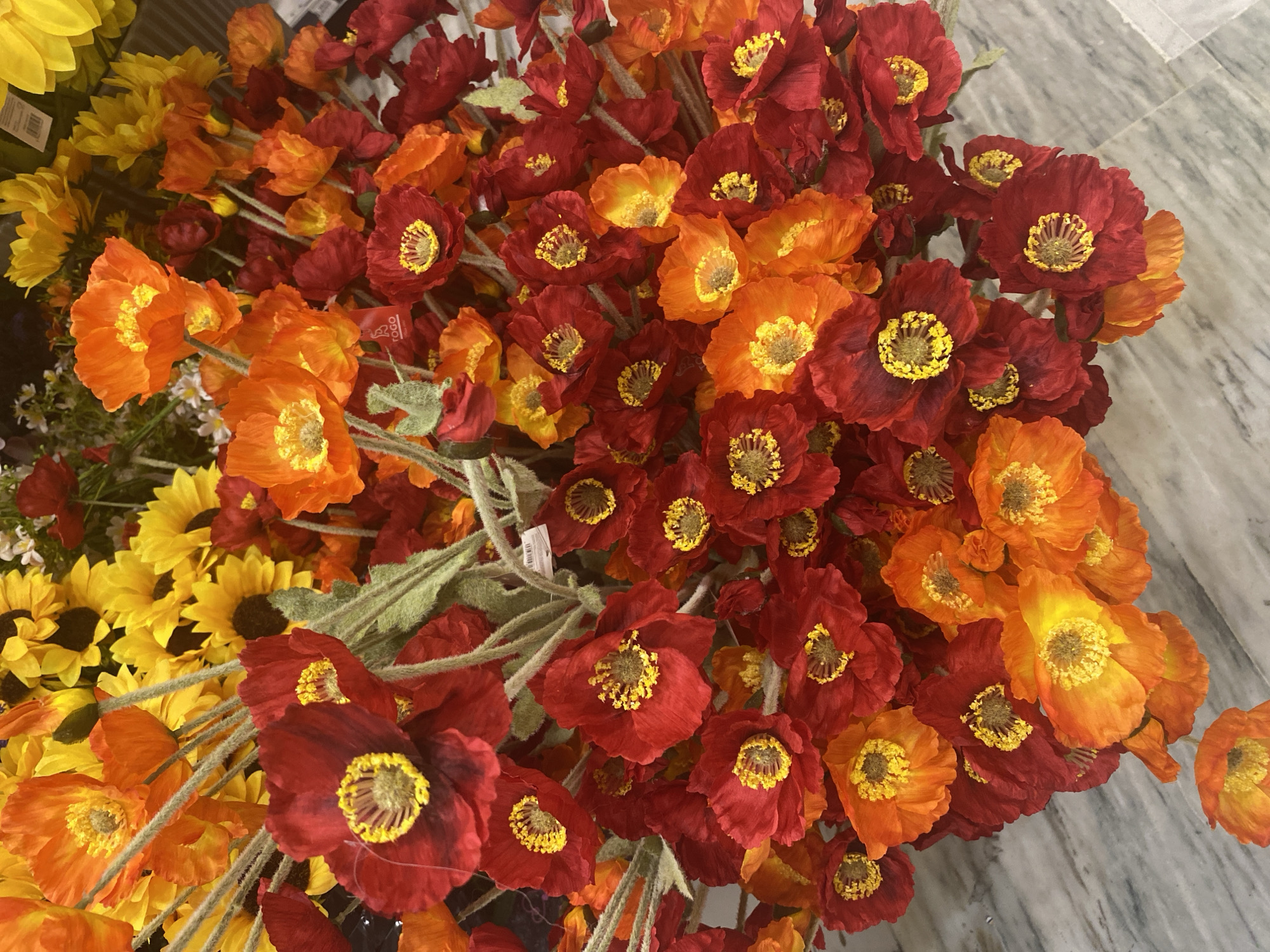 Park visit and shopping stops across an afternoon in Konya