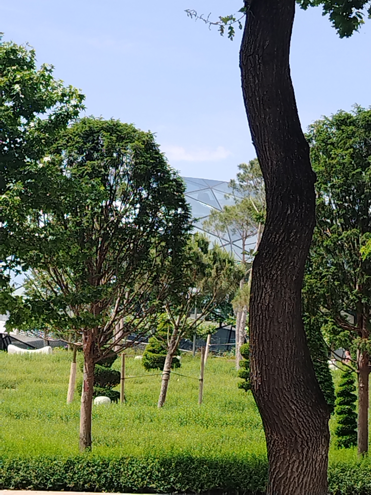 Morning park life unfolds in Krasnodar's public gardens