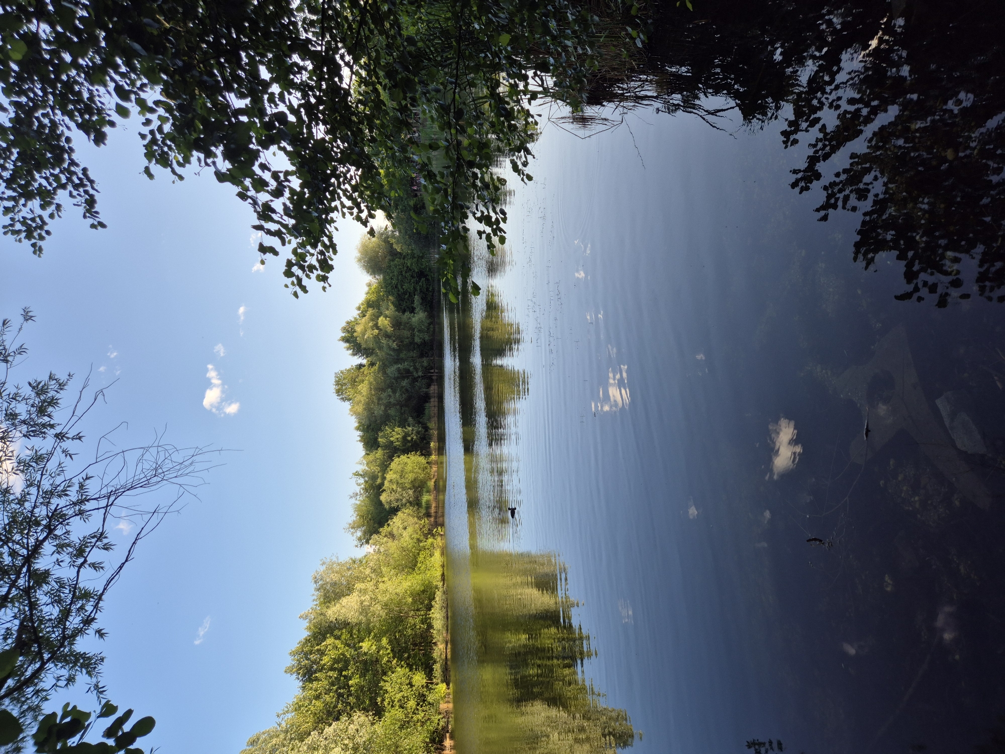 Lakeside afternoon in Ergolding with ducks and reflections