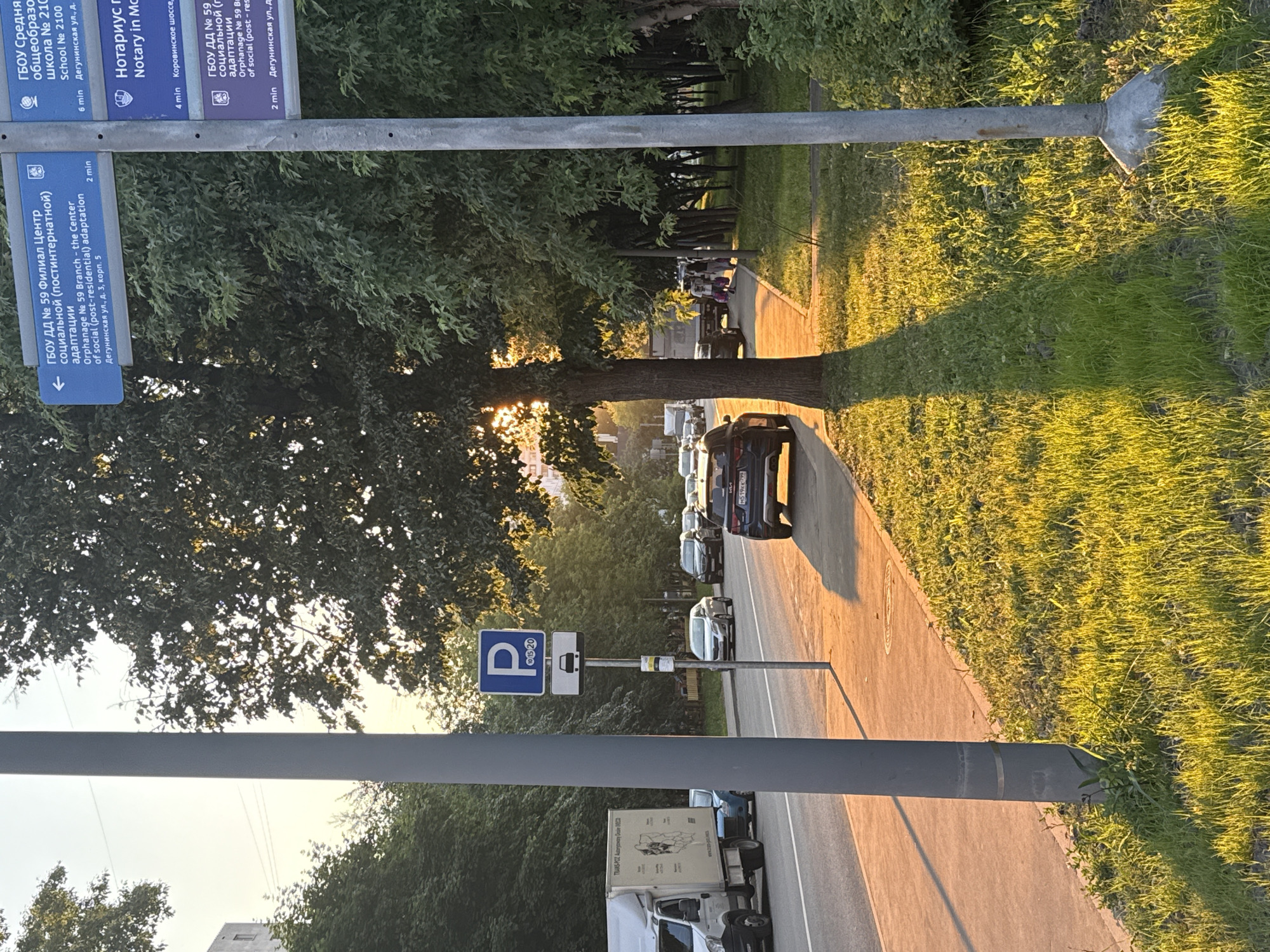 Moscow summer evening: flowers, golden light, and Brutalist towers