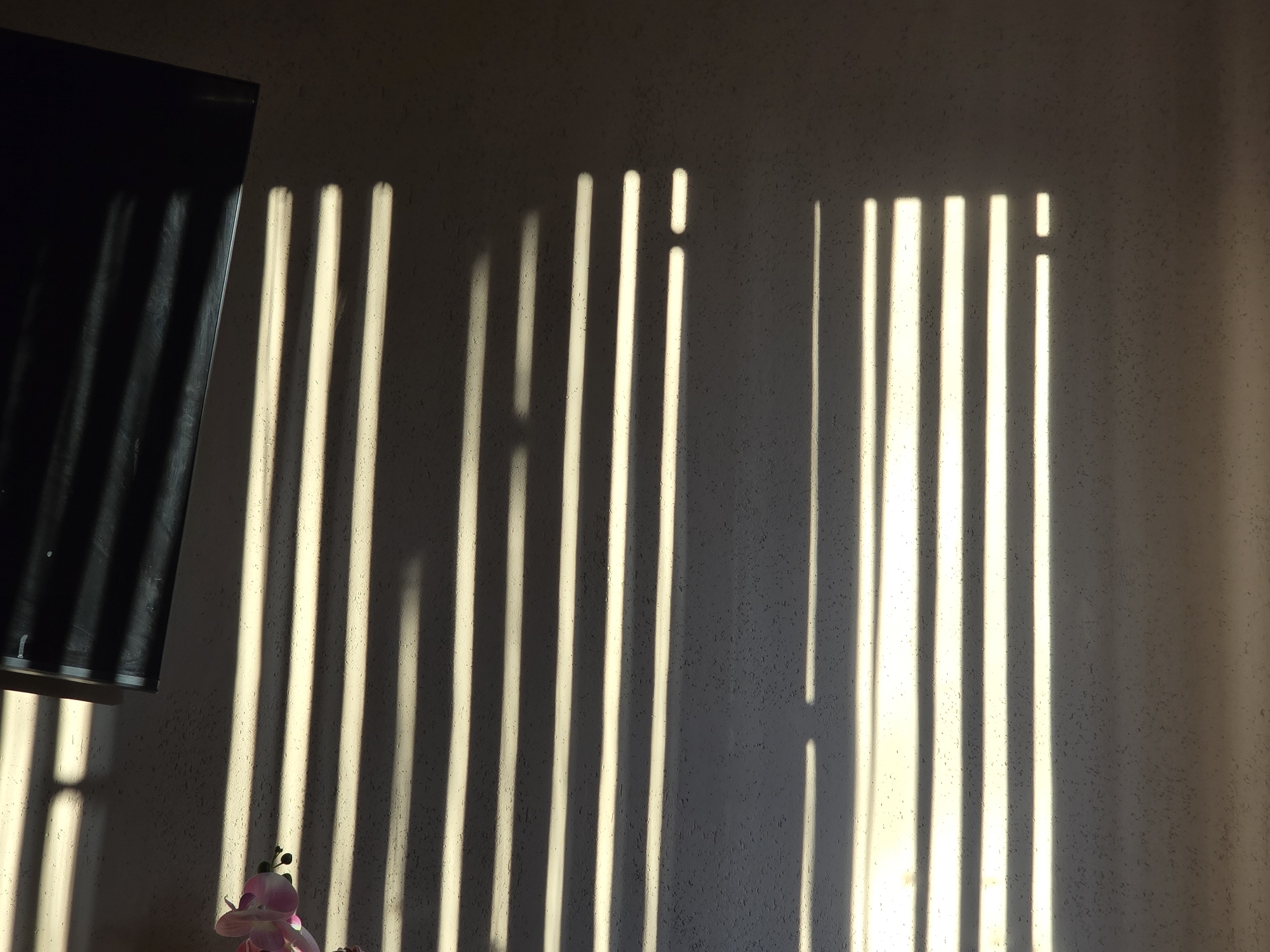Early morning domestic moments recorded in Pleven, Bulgaria