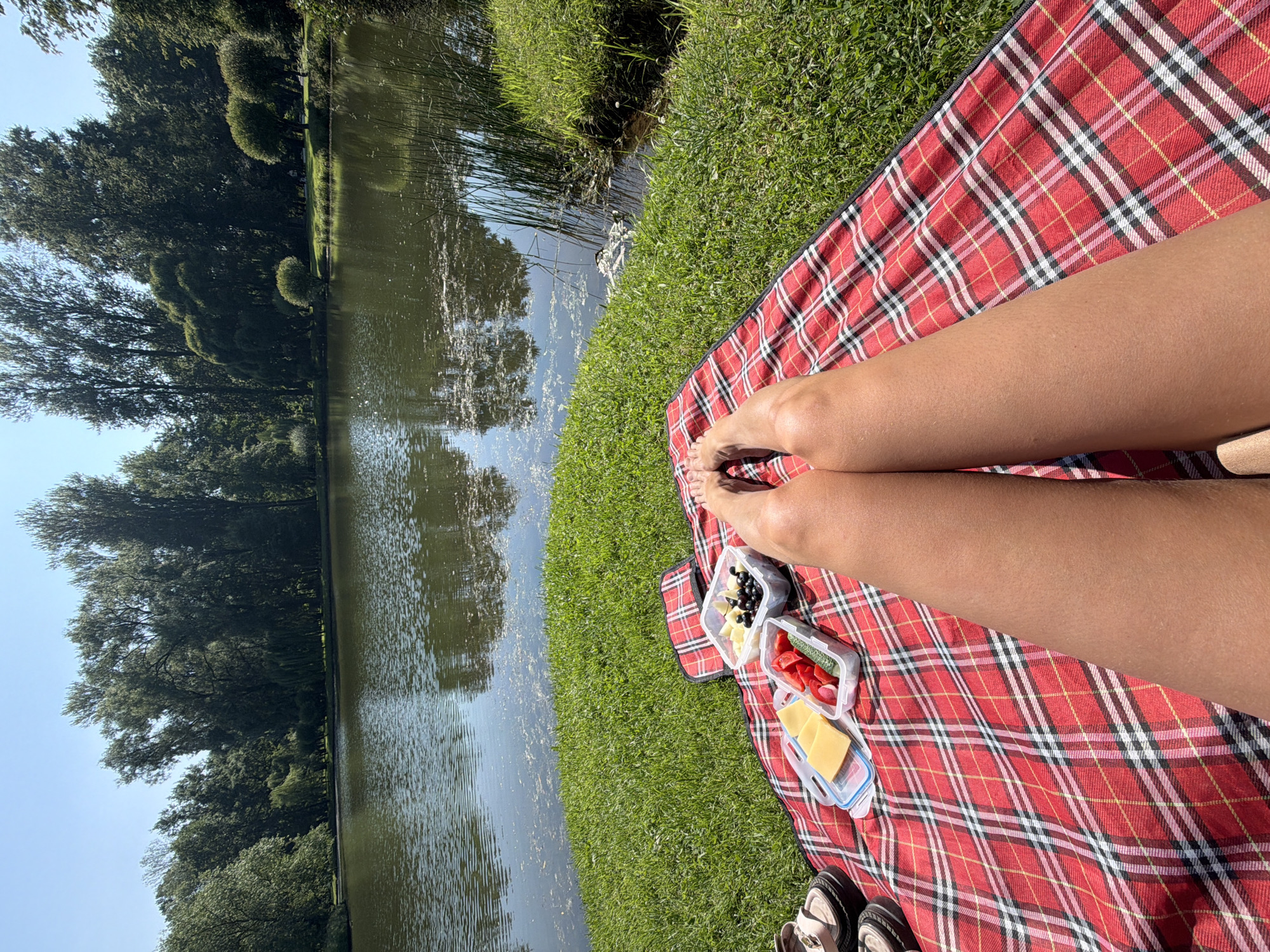 Lakeside picnic on a sunny Saint Petersburg afternoon